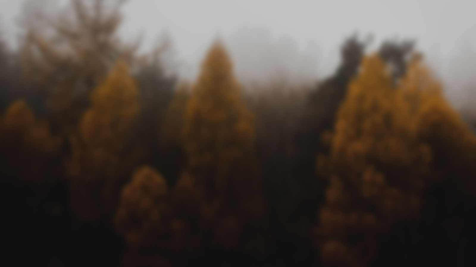 Who is My Samaritan? (10/20/19)