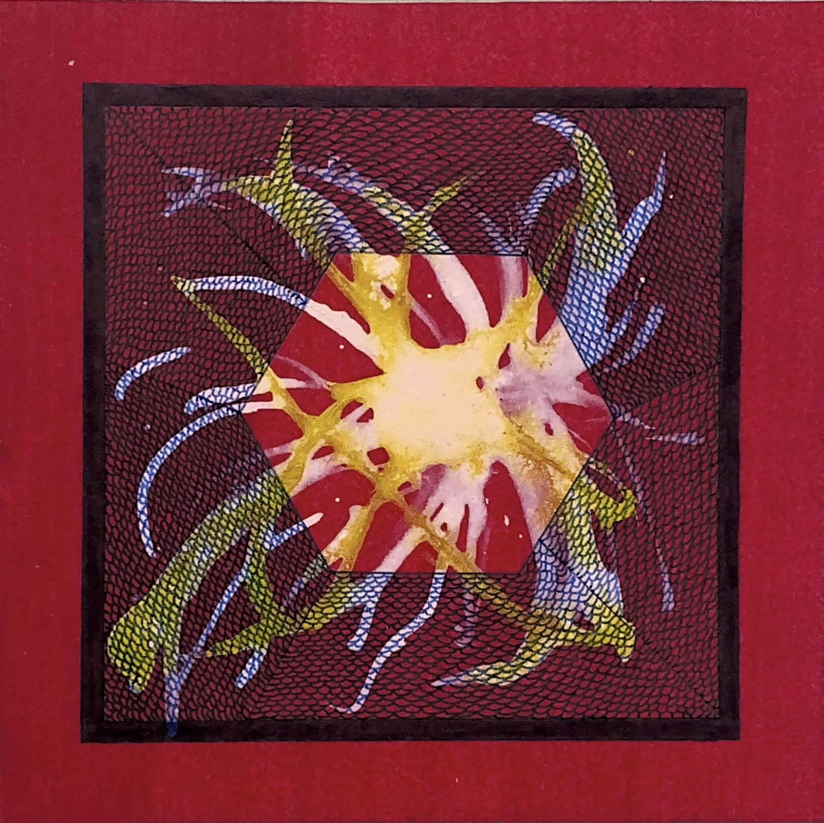 Screen Shot 2023-07-05 at 11.34.28 AM.png