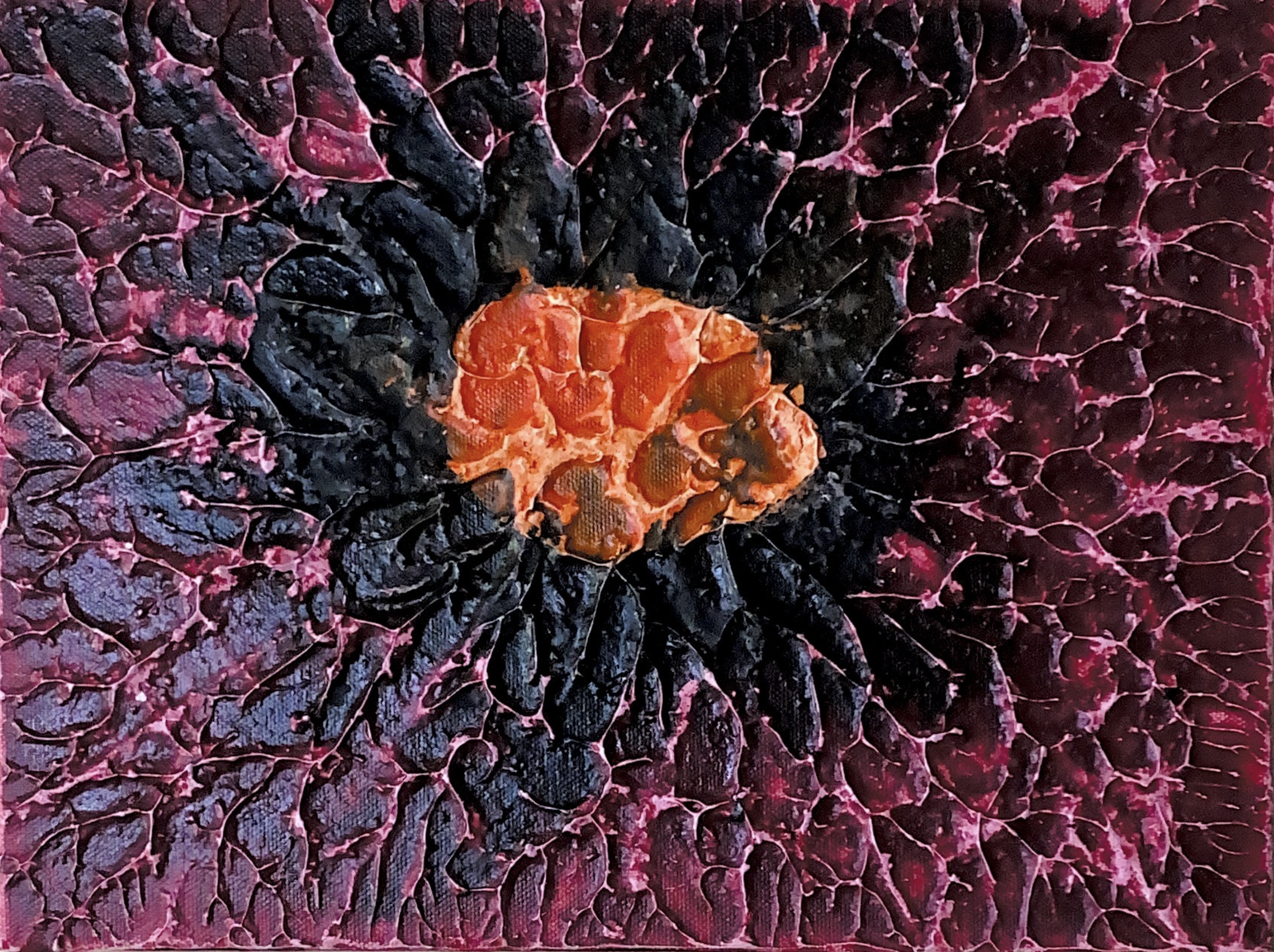 Screen Shot 2023-12-23 at 12.28.54 PM.png