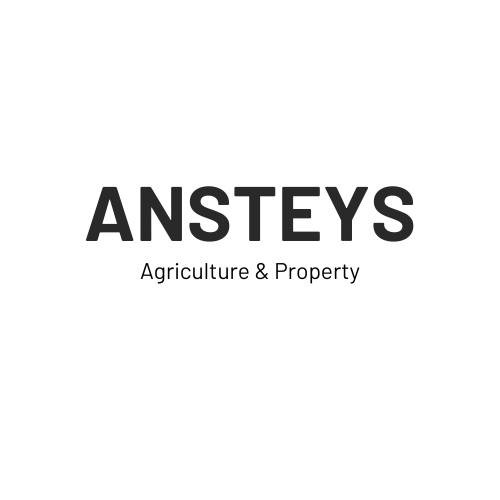 Ansteys