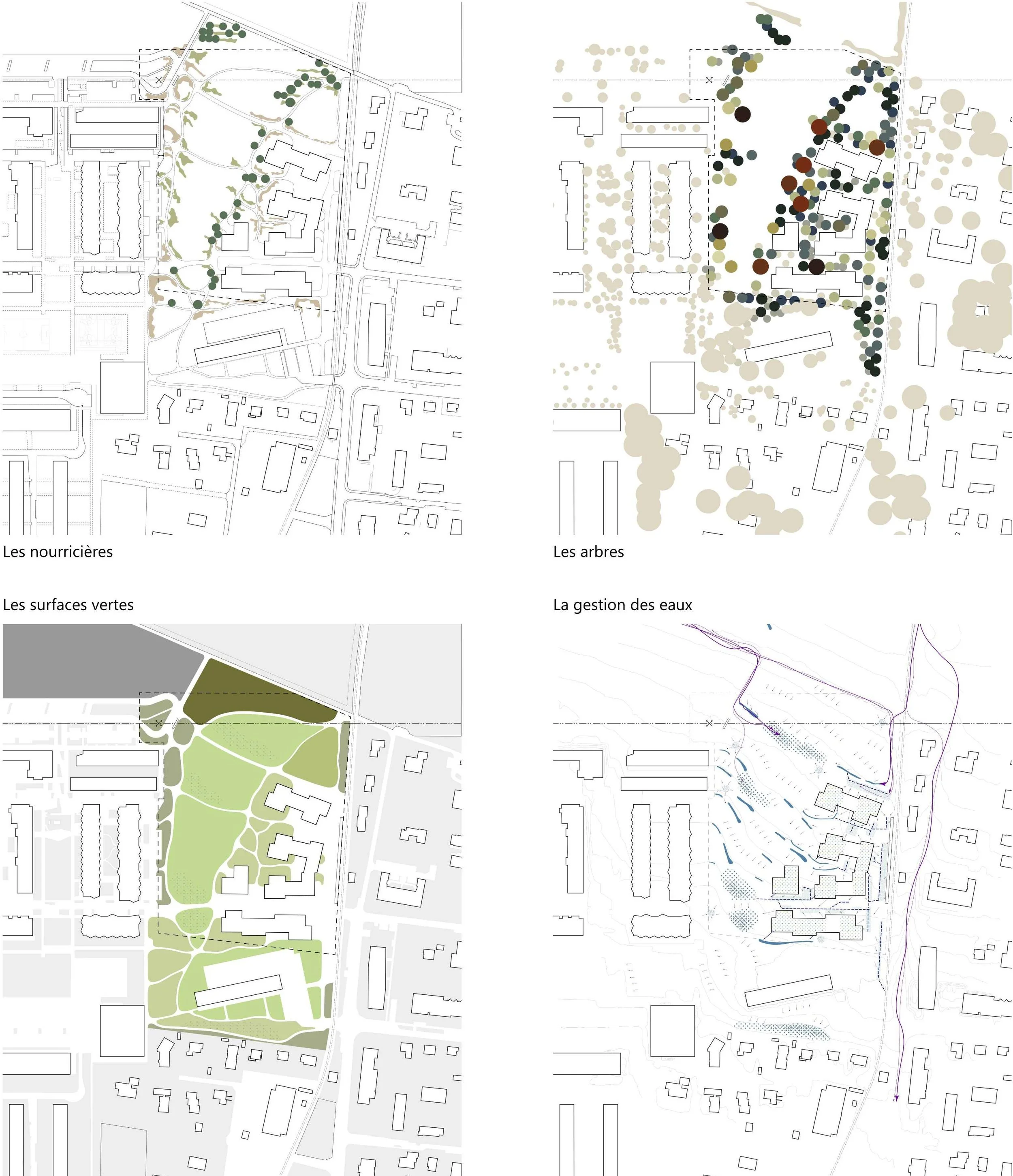 schéma végétation_SITE INTERNET.jpg