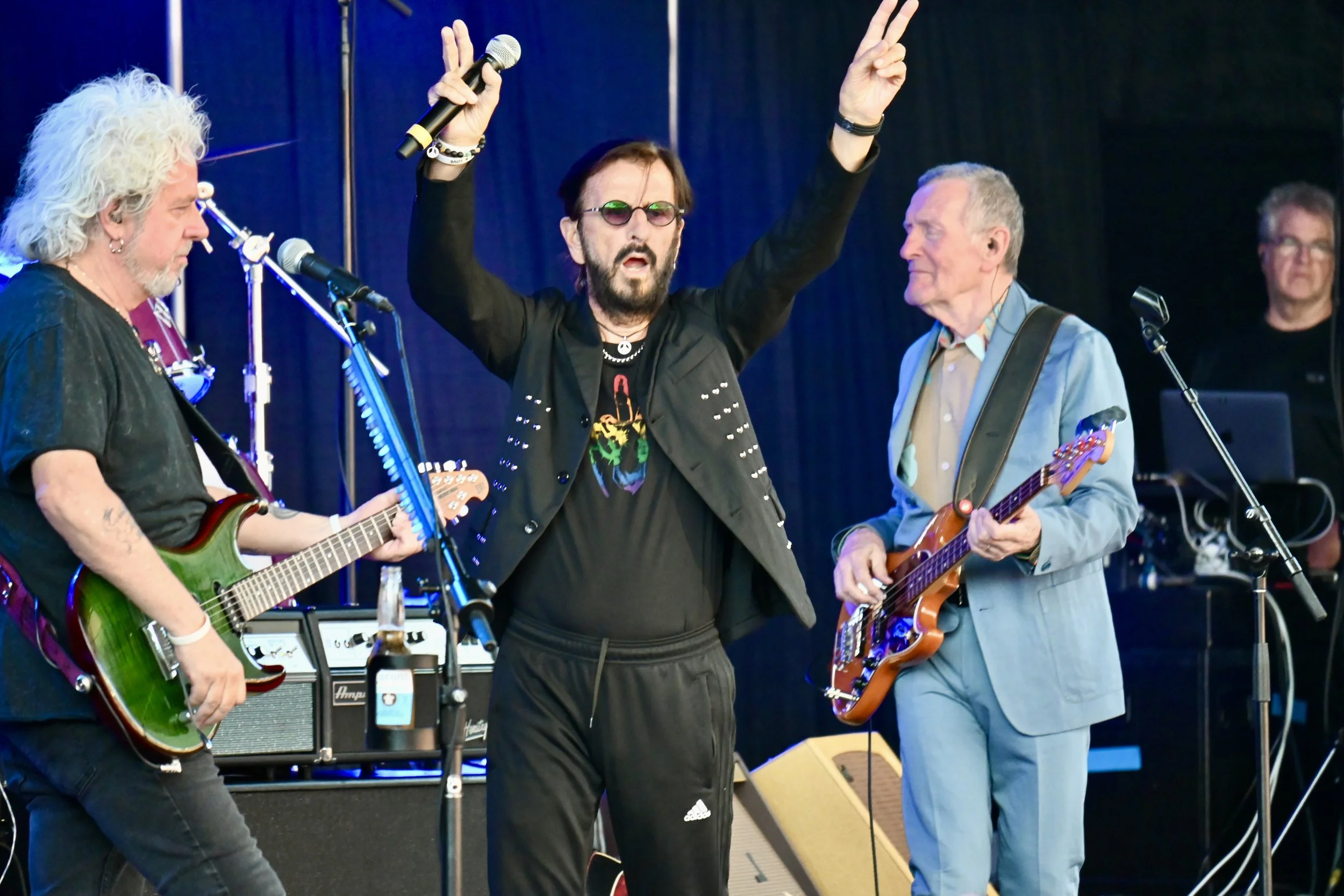 Ringo 5 by Kim Reed.JPG
