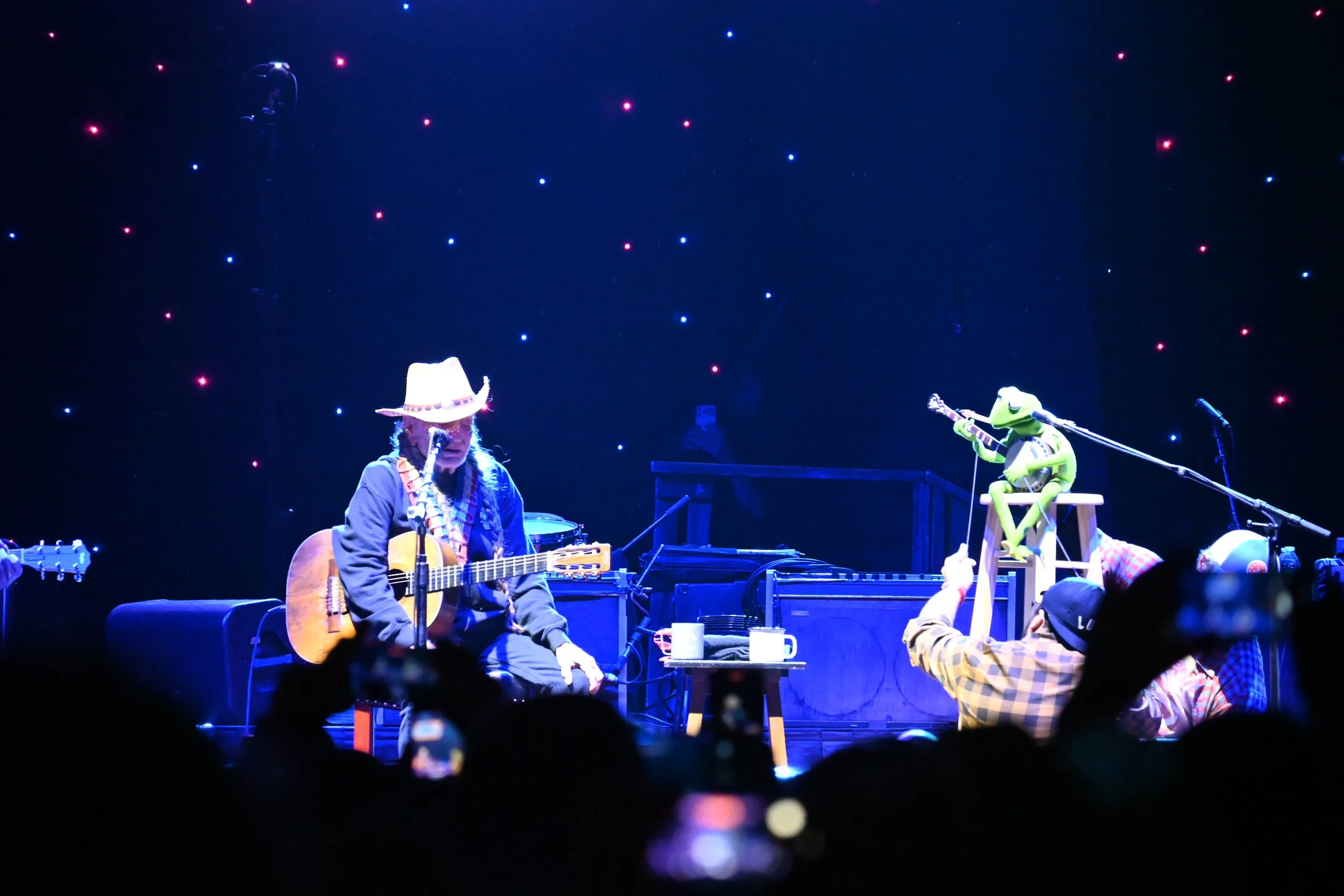 Willie and Kermit.JPG