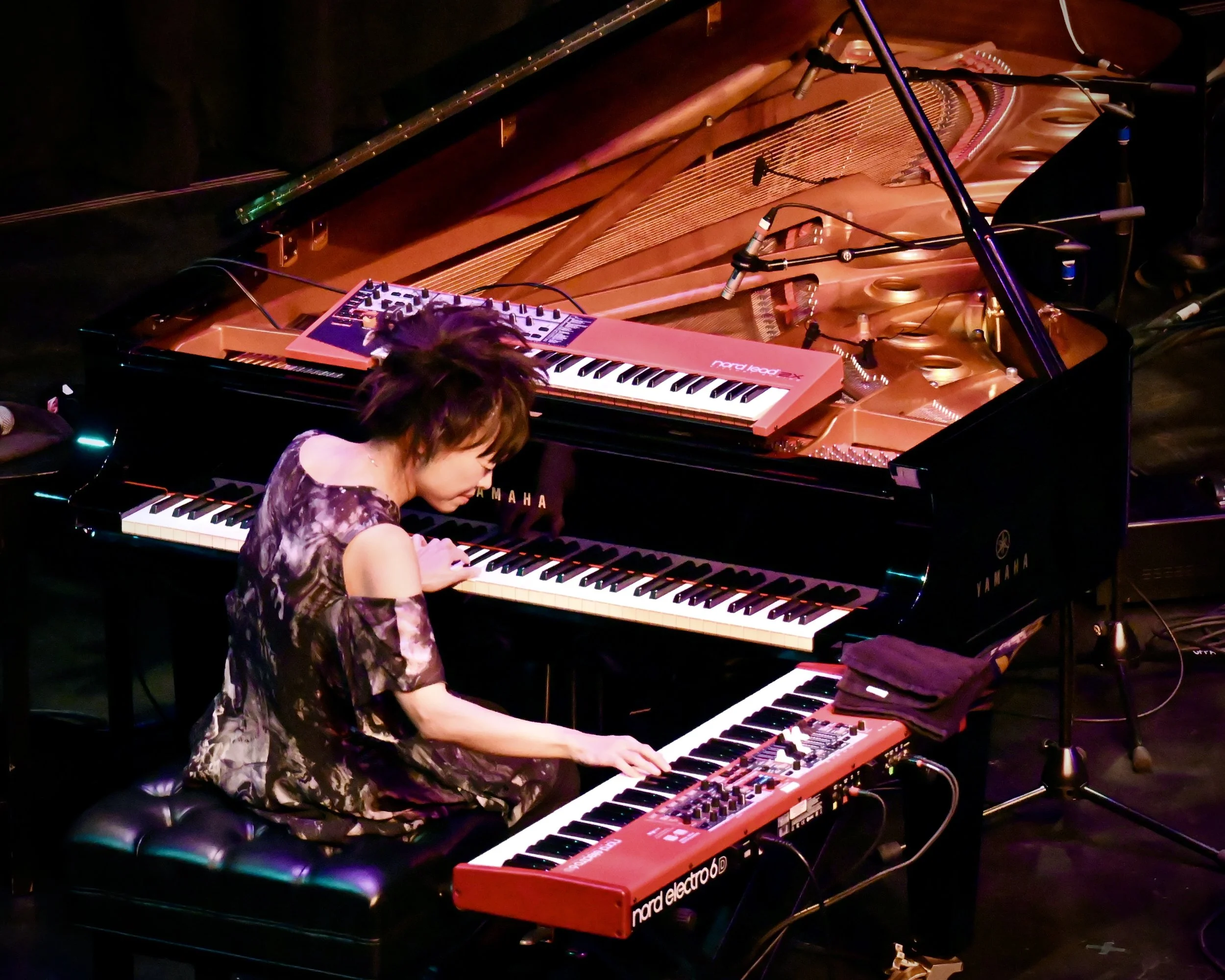 Hiromi 6 by Kim Reed.JPG