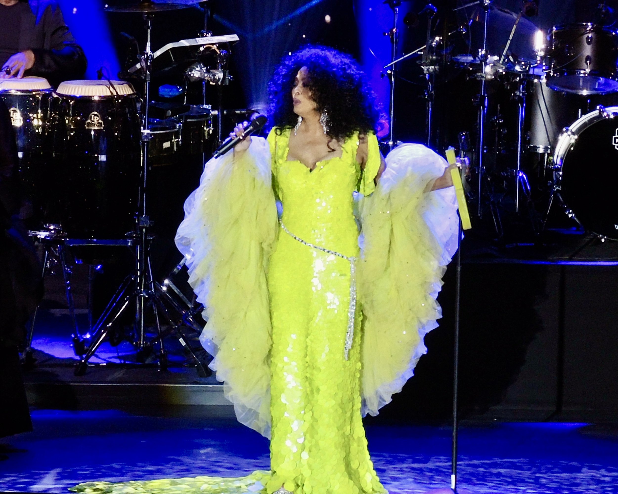 Diana Ross edit.JPG