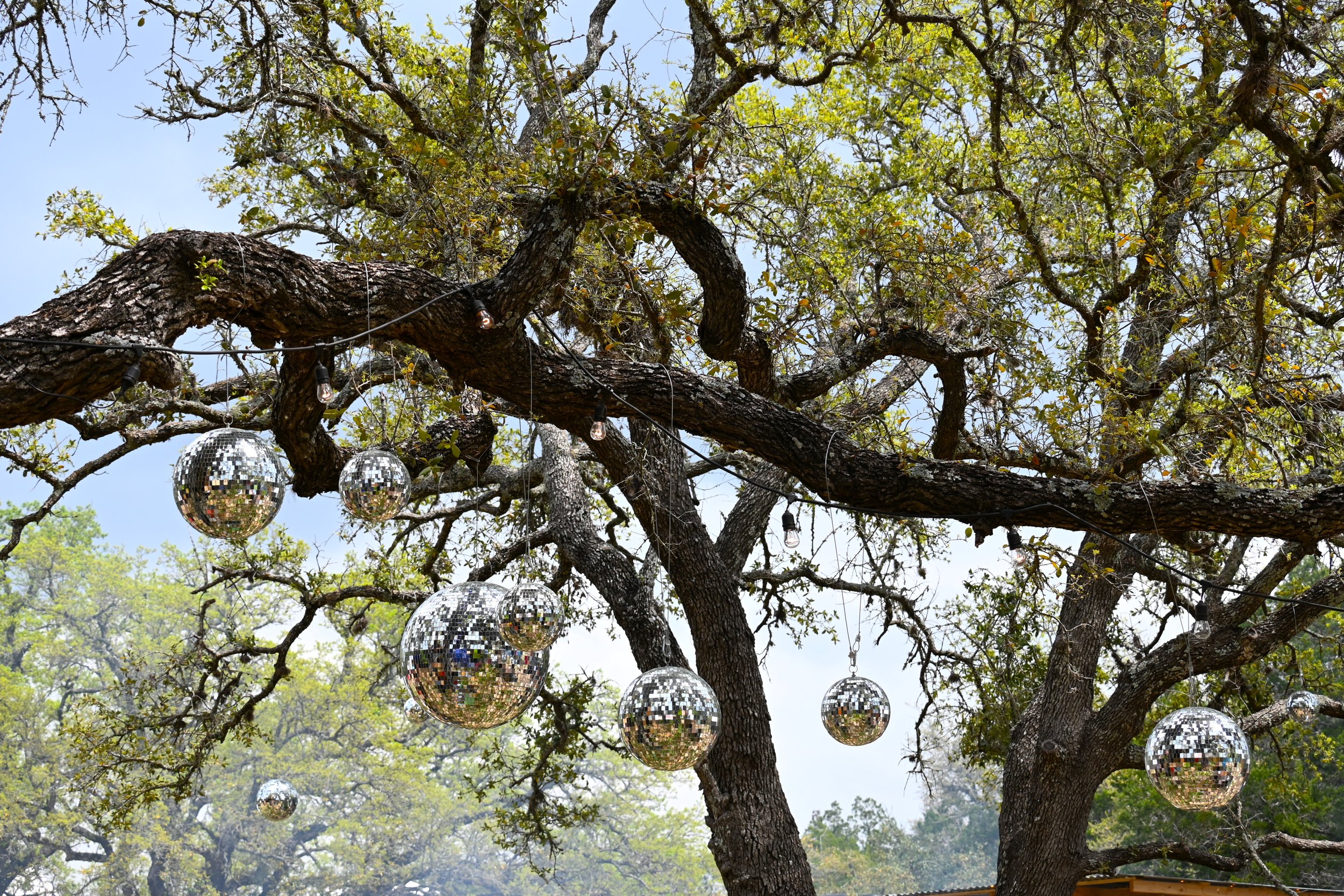 Disco balls at Willie's.JPG