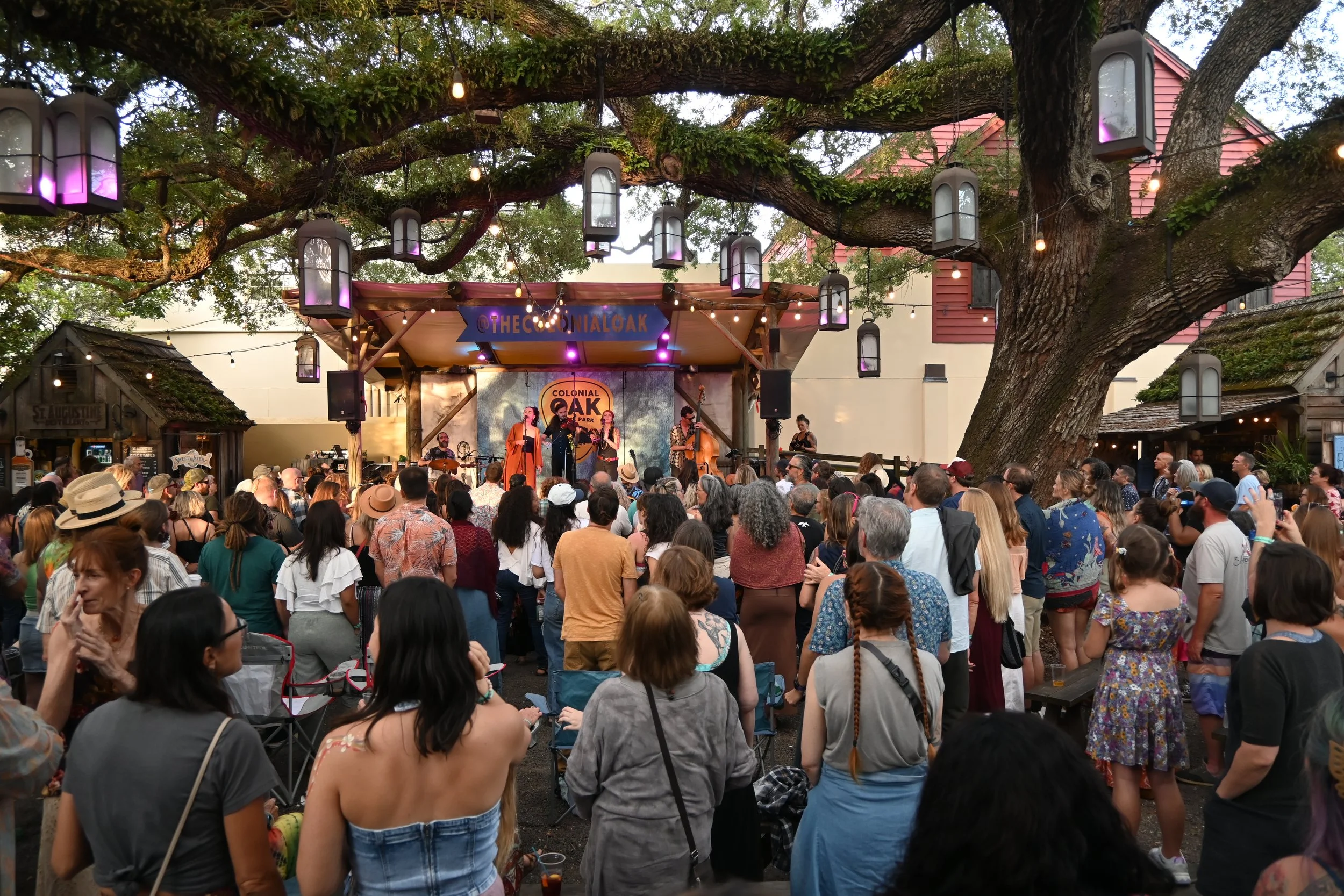 Colonial Oak by Kim Reed.JPG