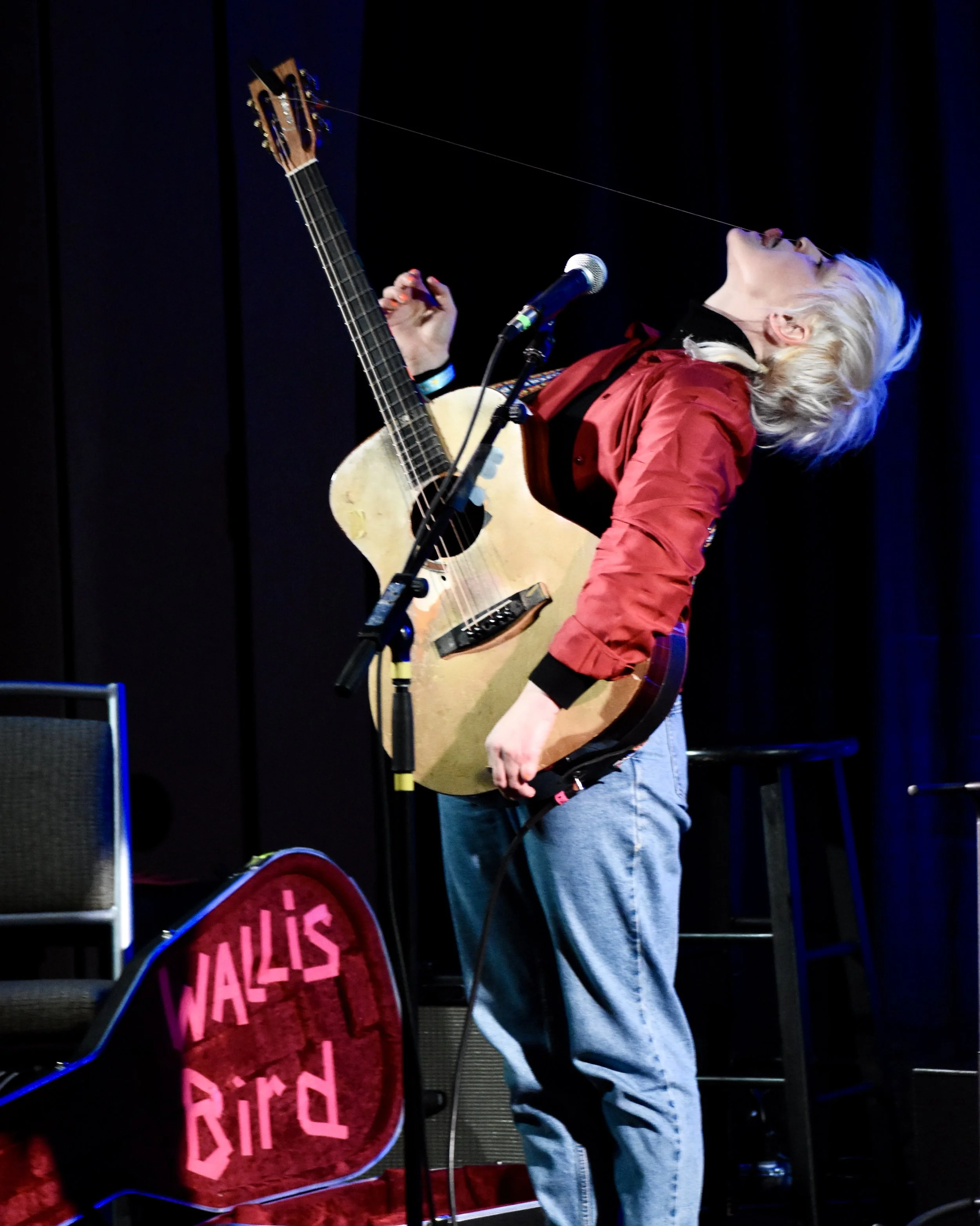 Wallis Bird broken string.jpeg