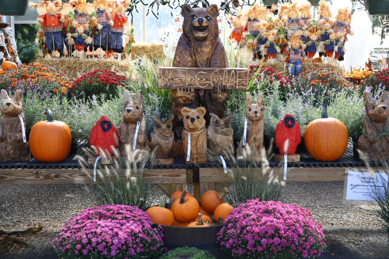 IMG_0086.png