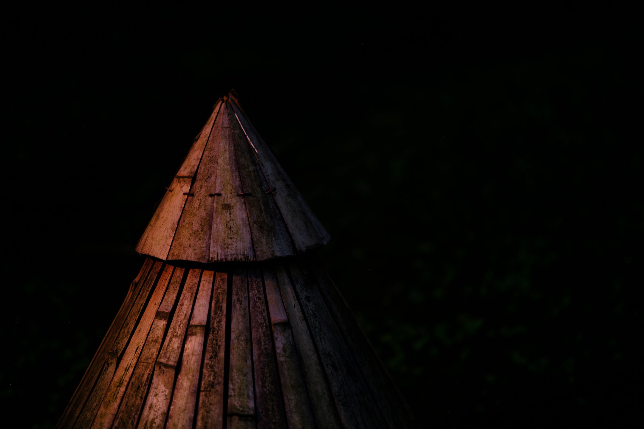 "Forest Light" - May 14th - Fujifilm XT4