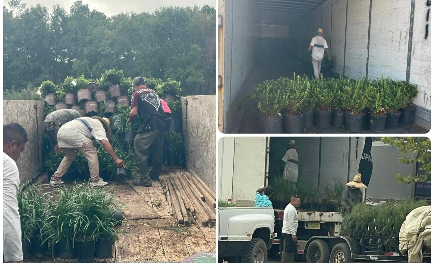 Same-Week Shipping, Every Week.

The plants don&rsquo;t move themselves &mdash; but our crew sure makes it look easy.

It&rsquo;s a true team effort &mdash; the guys behind the scenes who load, haul, and deliver quality material week after week. We c
