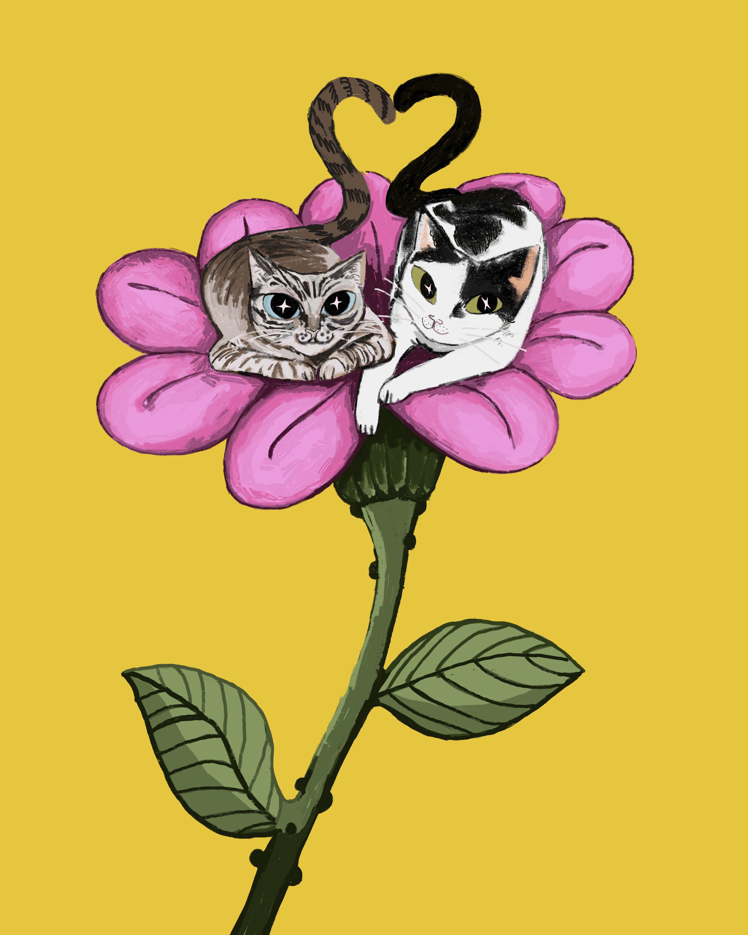 Untitled_Artwork 3.png
