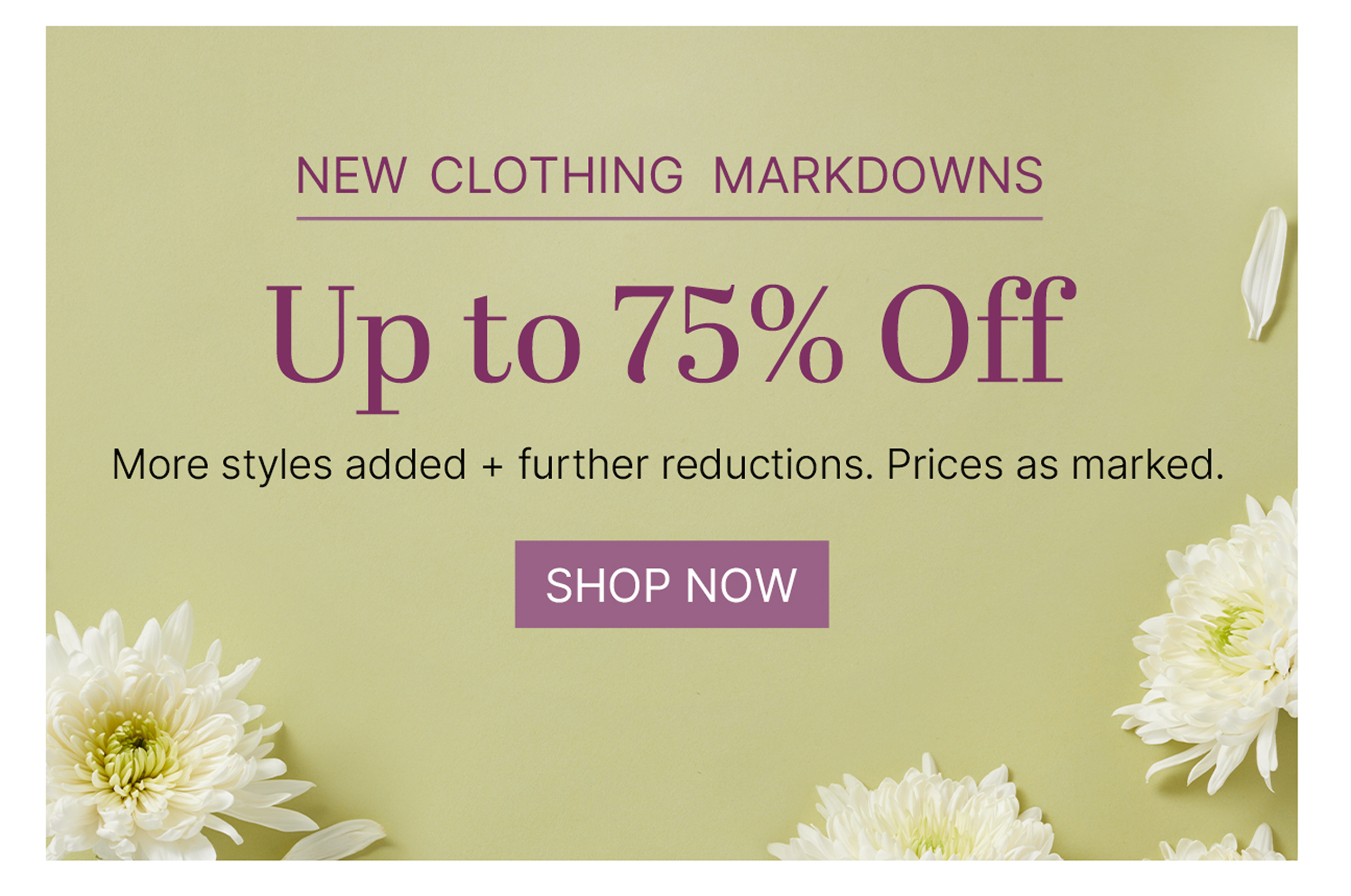250320C_markdowns 1.png