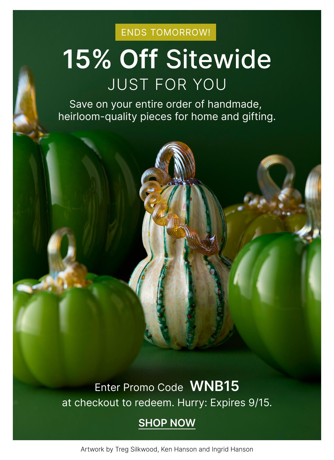 20250914 Winback Email 3 .png