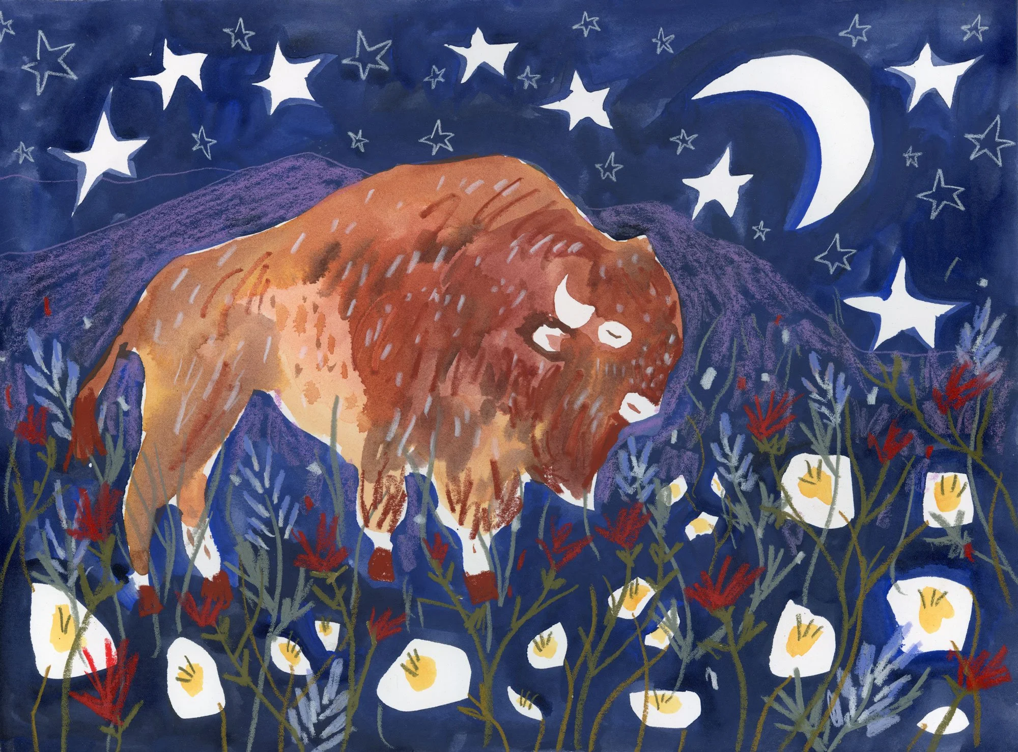 Melissa-Lakey-buffalo-under-the-stars-12x16.jpg
