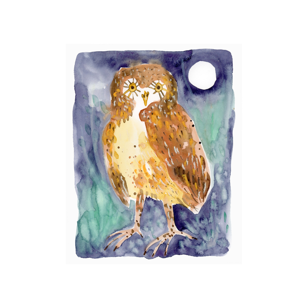 Little Owl | Giclée Print | Melissa Lakey