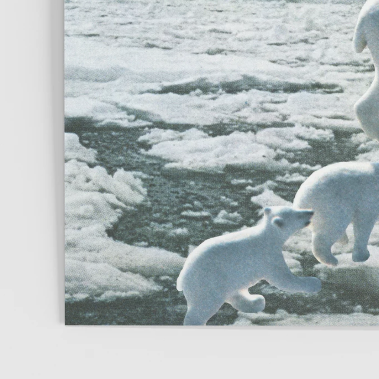 Screenshot 2025-12-03 at 10.22.43 AM.png