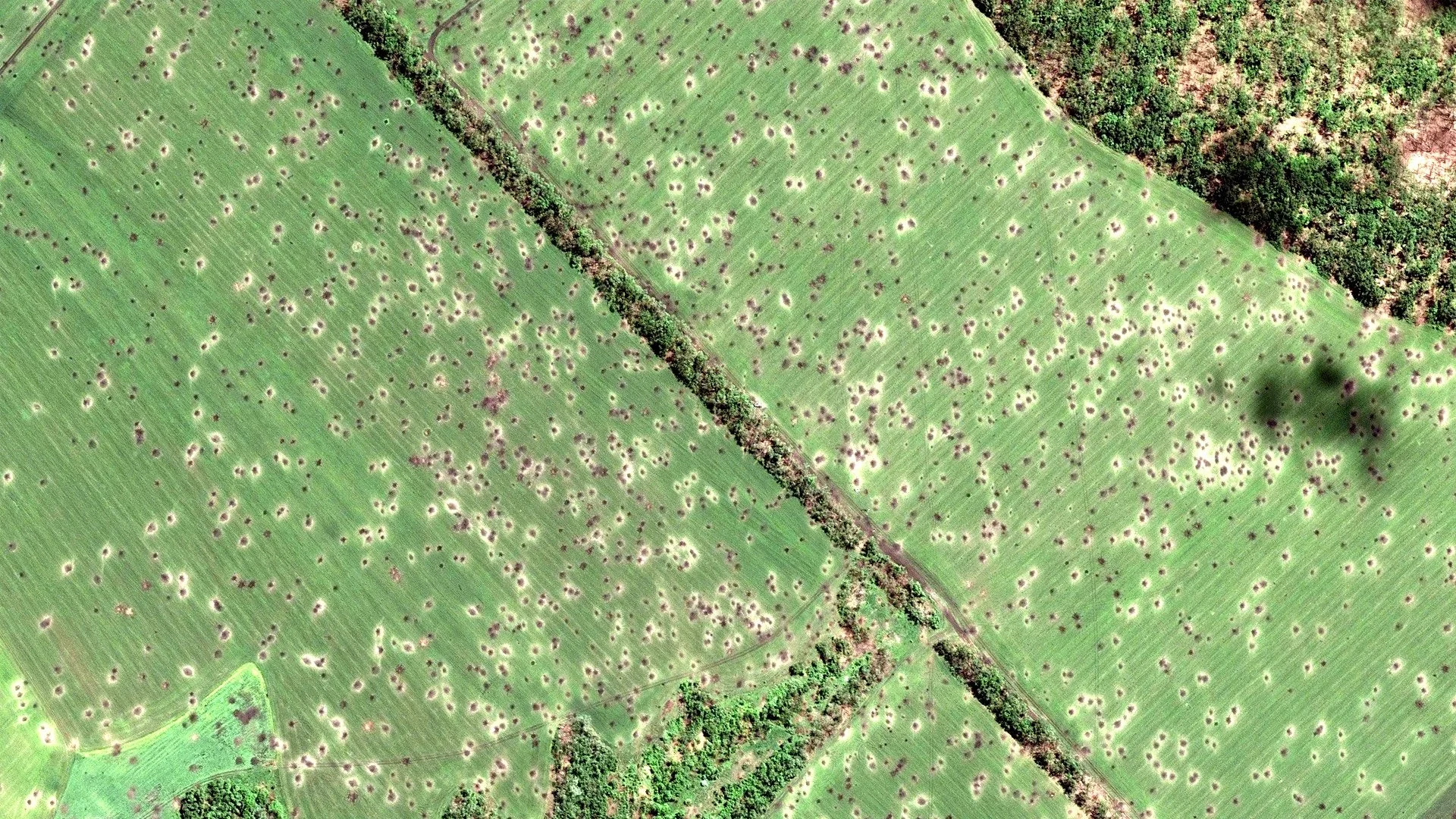 International Demining Group LLC