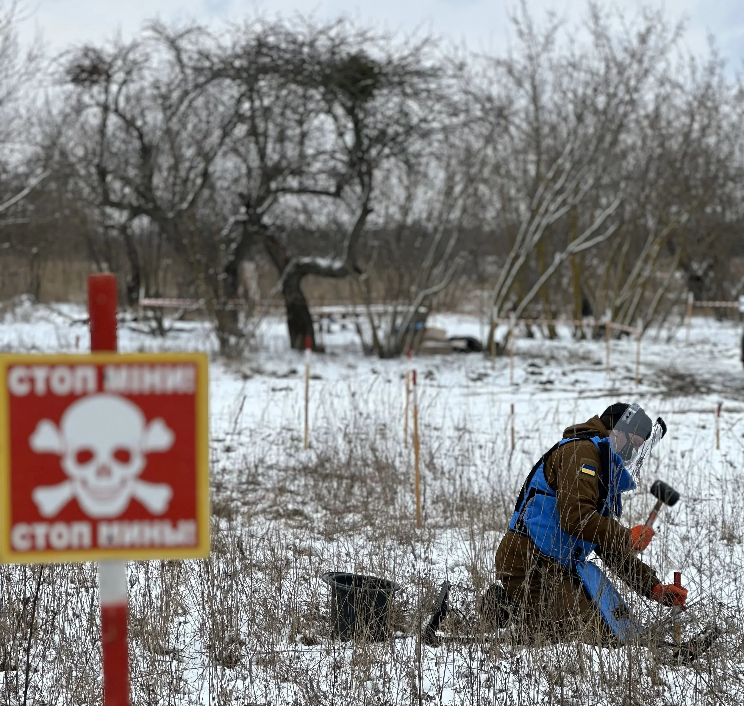 International Demining Group LLC