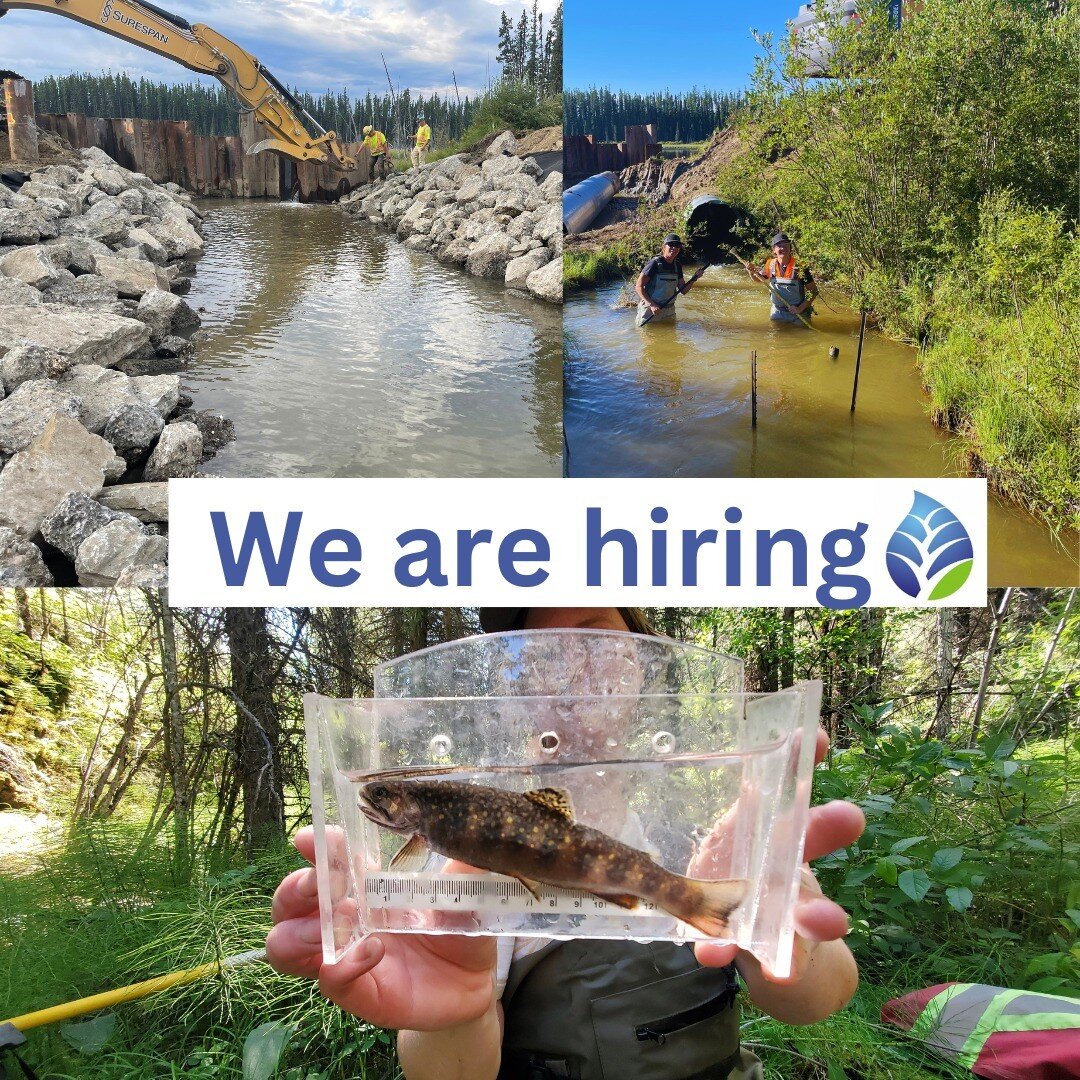 Career opportunity!

Are you an intermediate or senior biologist looking for the next step? Our team is growing and we are looking for someone to grow with us! Find the job posting at the link in bio.