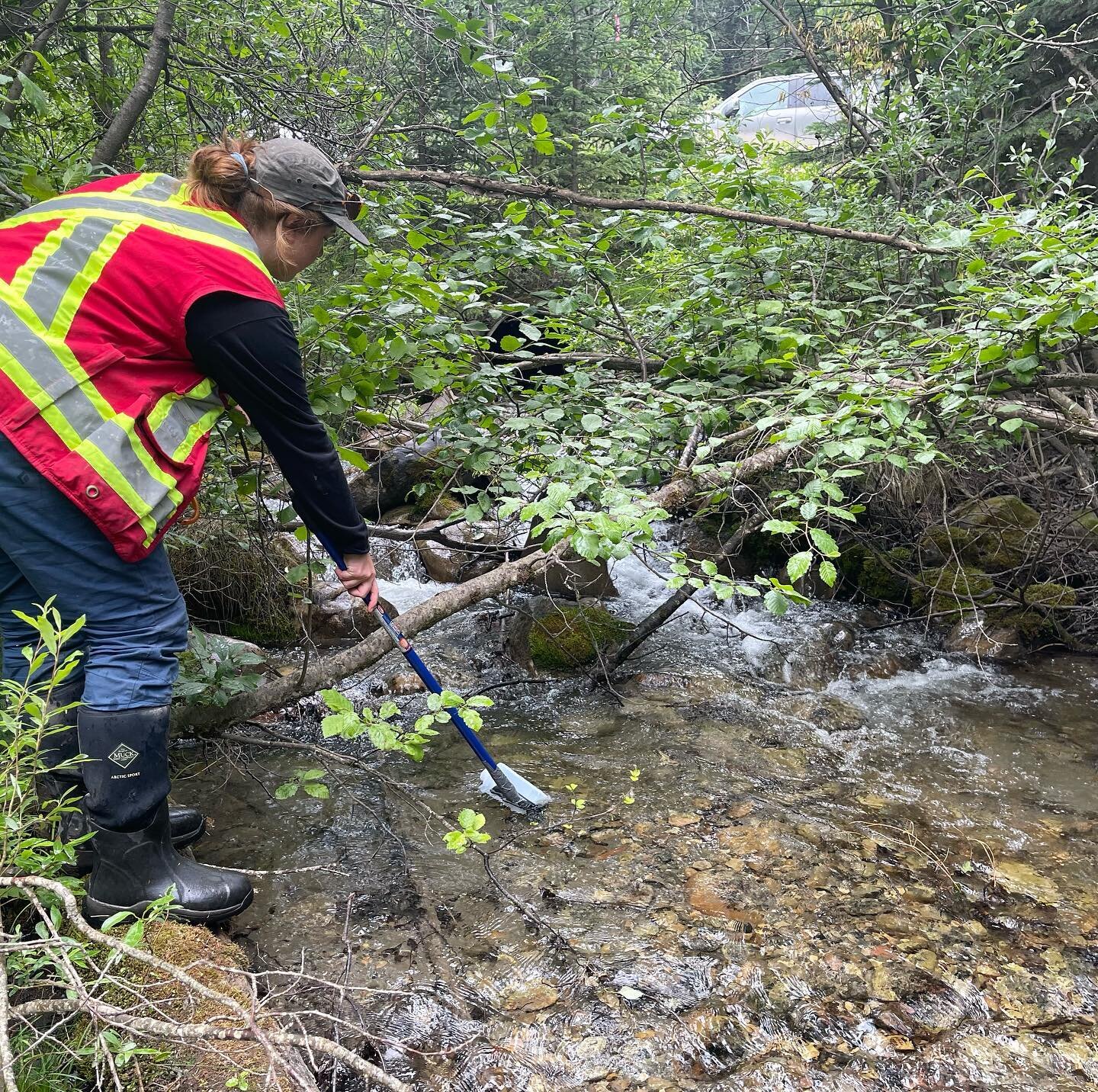 E-DNA Project: Poseidon Environmental is conducting an exciting project comparing the efficacy of eDNA sampling and electrofishing for identifying the presence of Species At Risk. Results from this project would provide additional tool for prioritizi