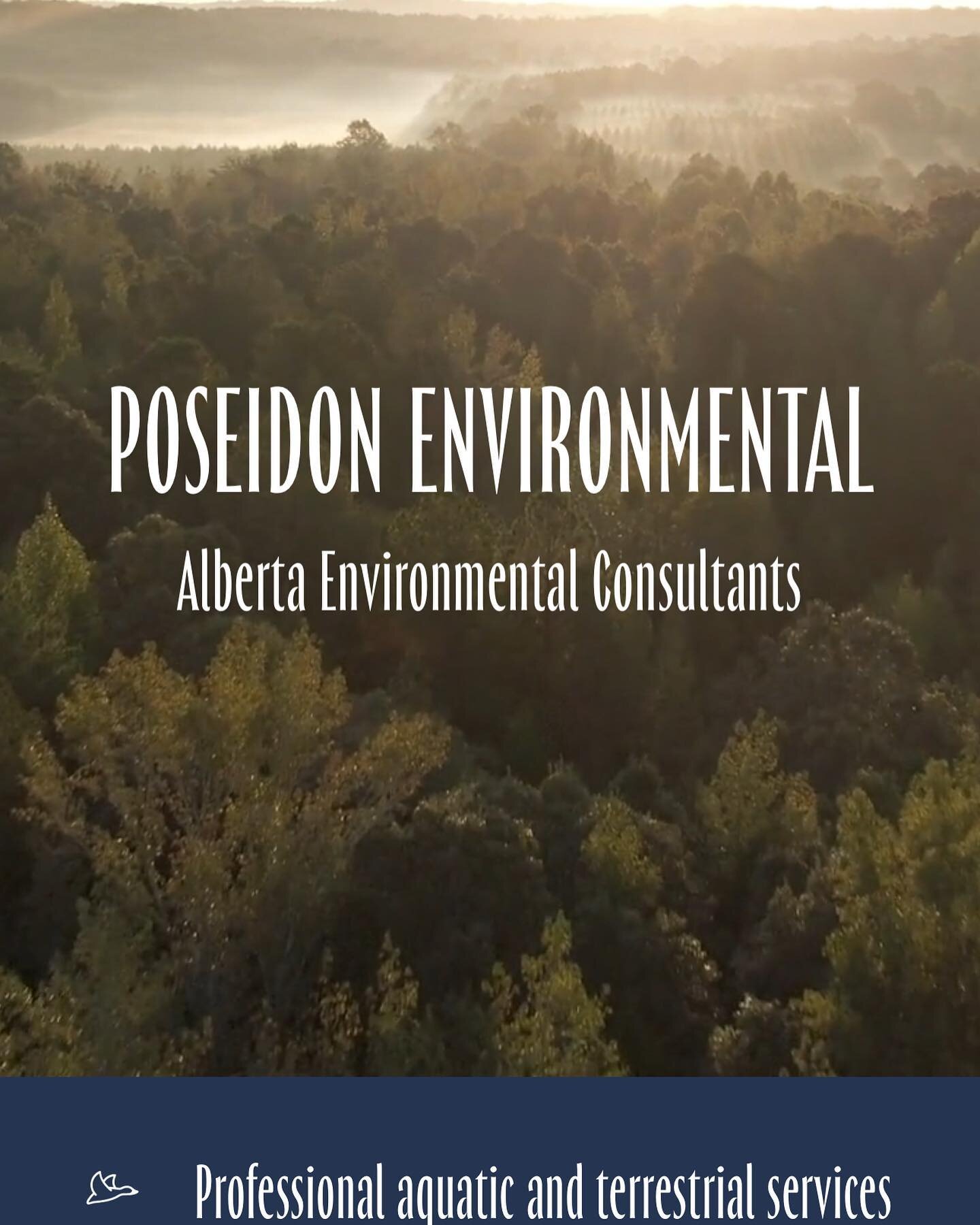 Excited to announce our new website is now live! Come check out who we are and what we do best 🌲 

poseidonenvironmental.ca