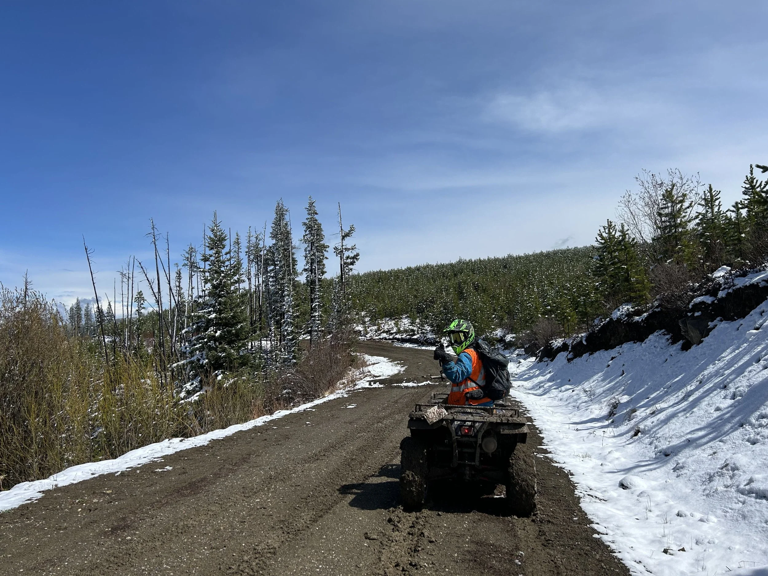 Quad Field Day Social_converted.jpeg