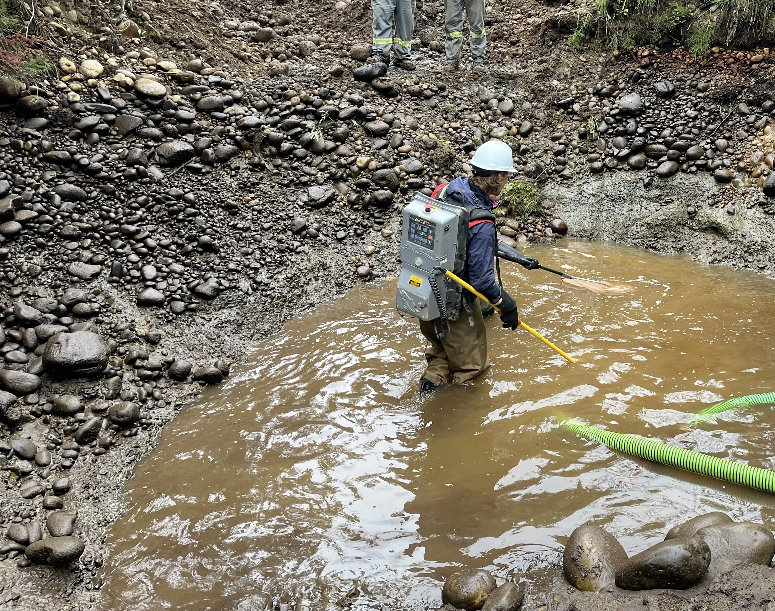 CROP_During Copy of IMG_0107.jpg