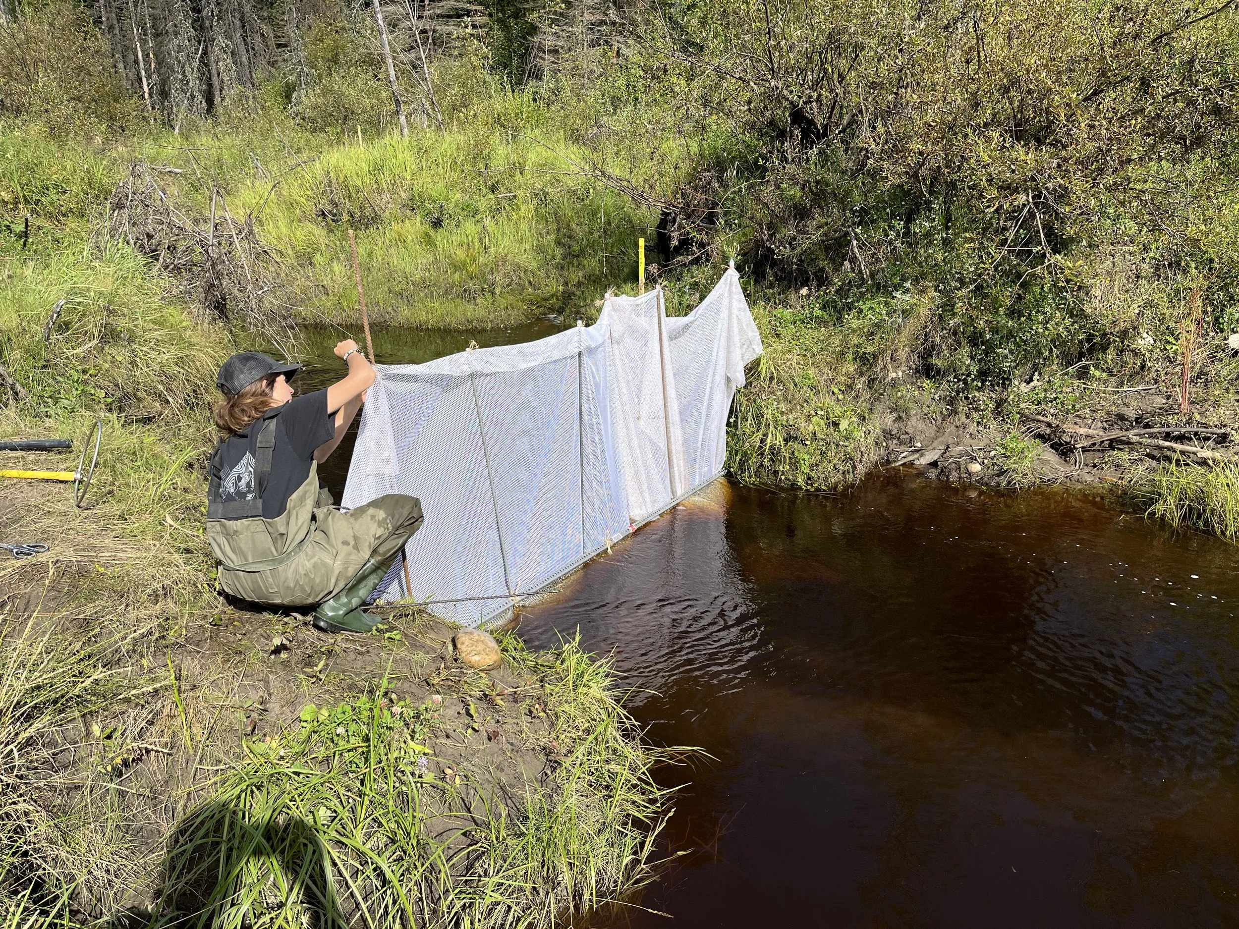 Blog Post Fish Salvage — Poseidon Environmental