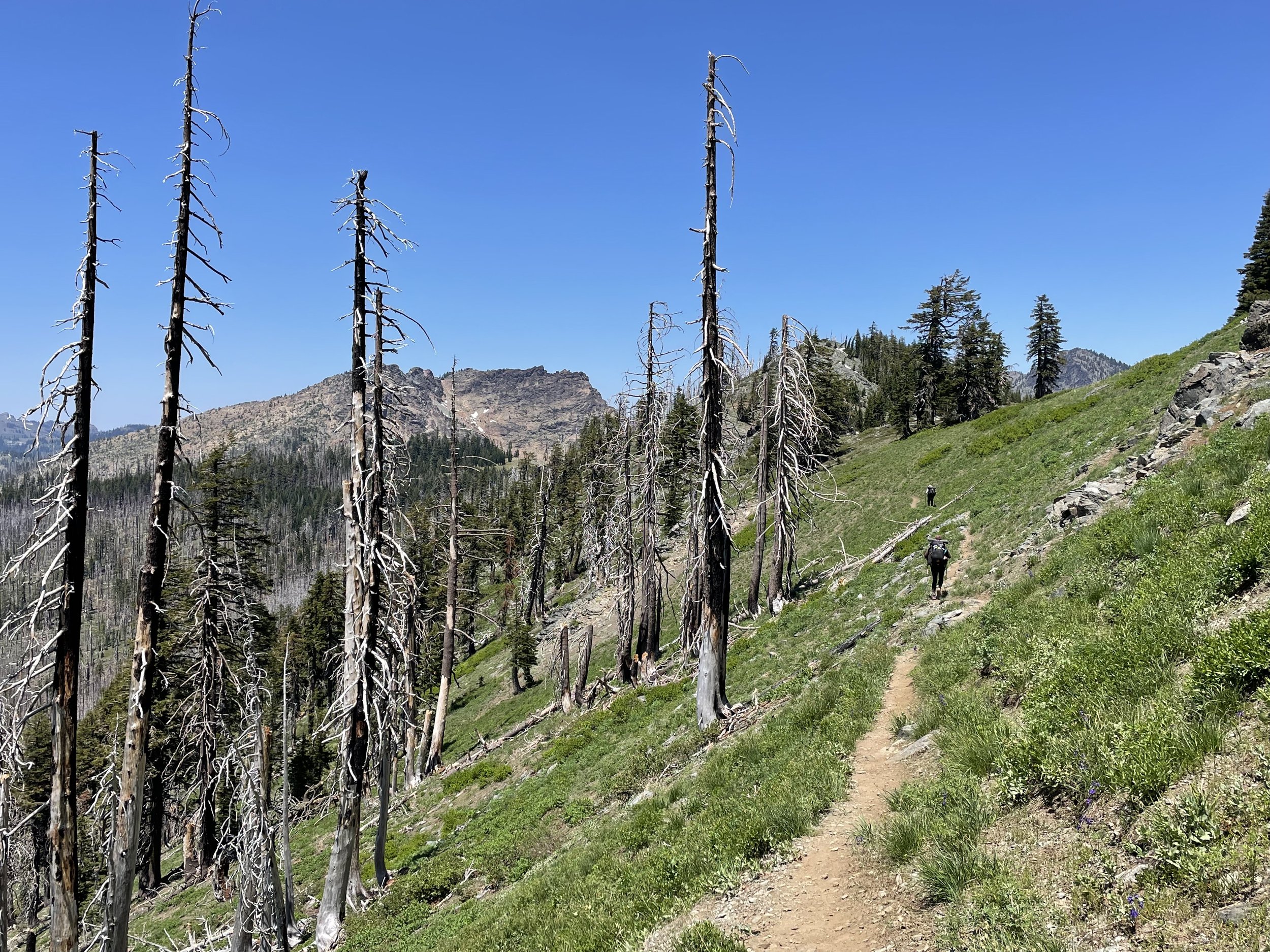 Another burn area