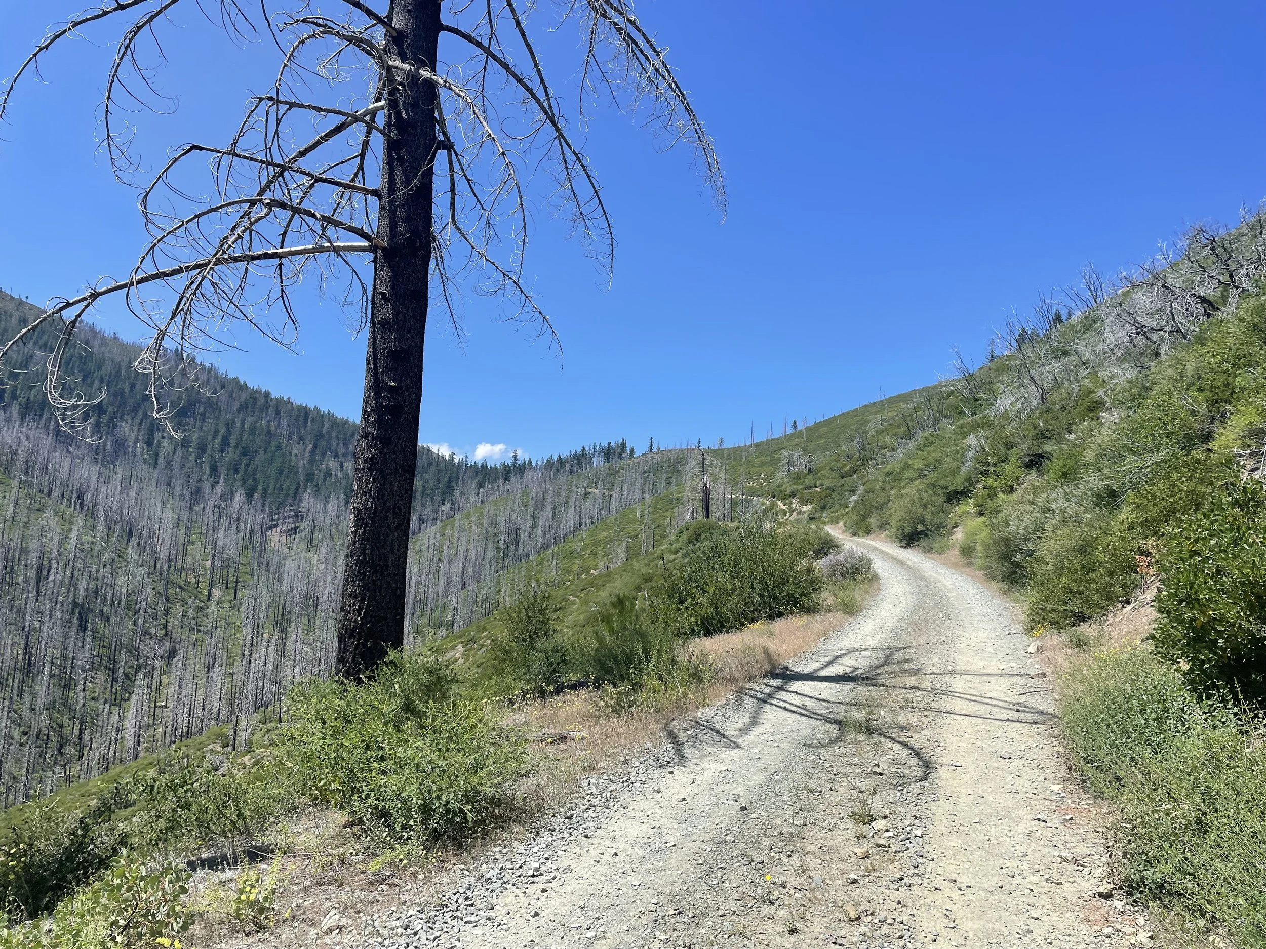 Exposed road on the way out of Seiad Valley