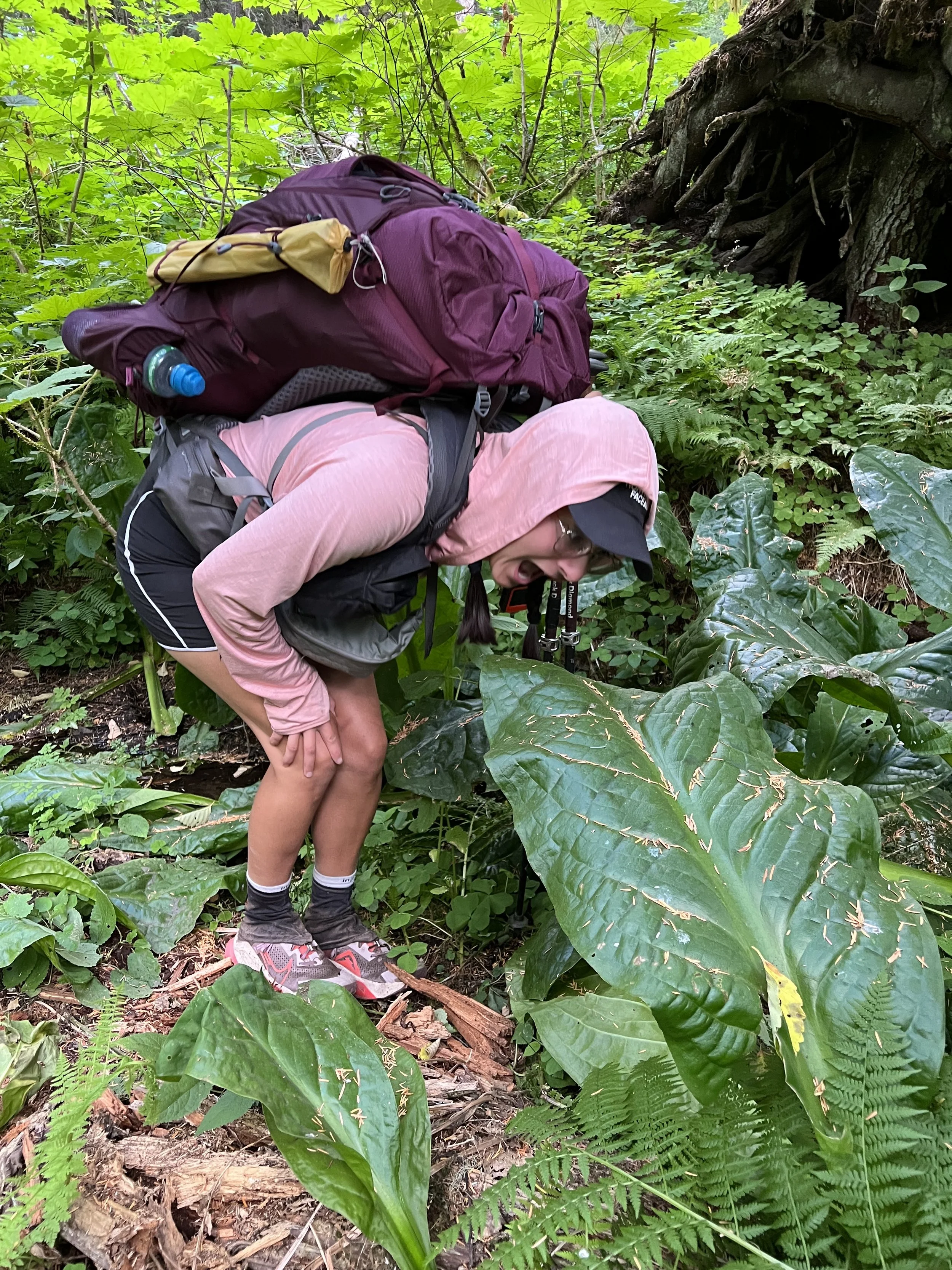 Some of the biggest leaves we'd ever seen!