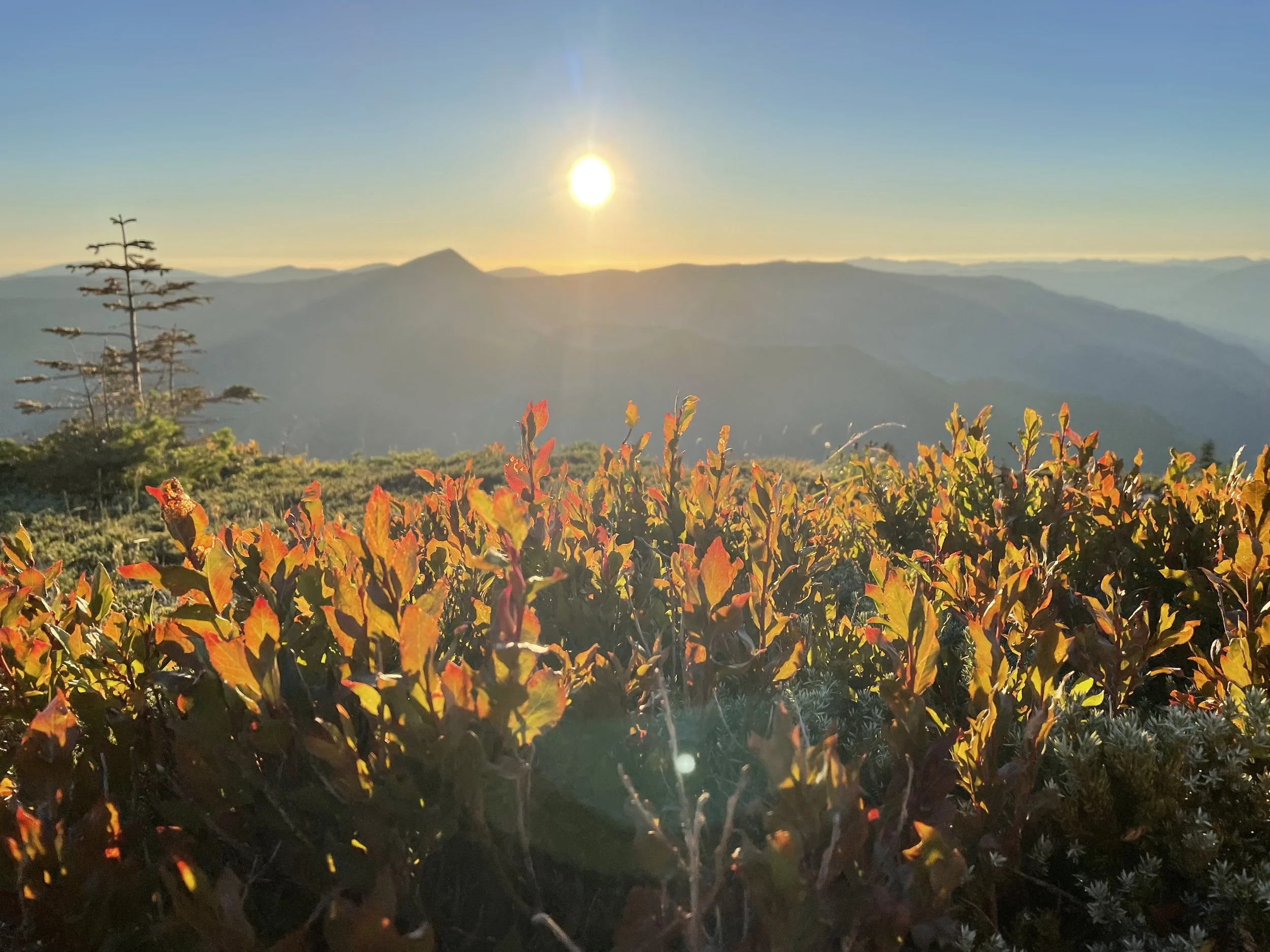 Last sunset of Oregon