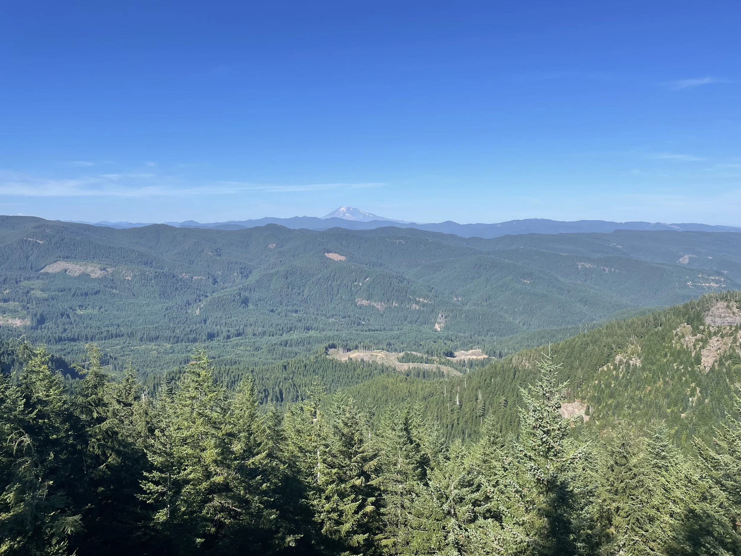 View of Mt. Adams to the north