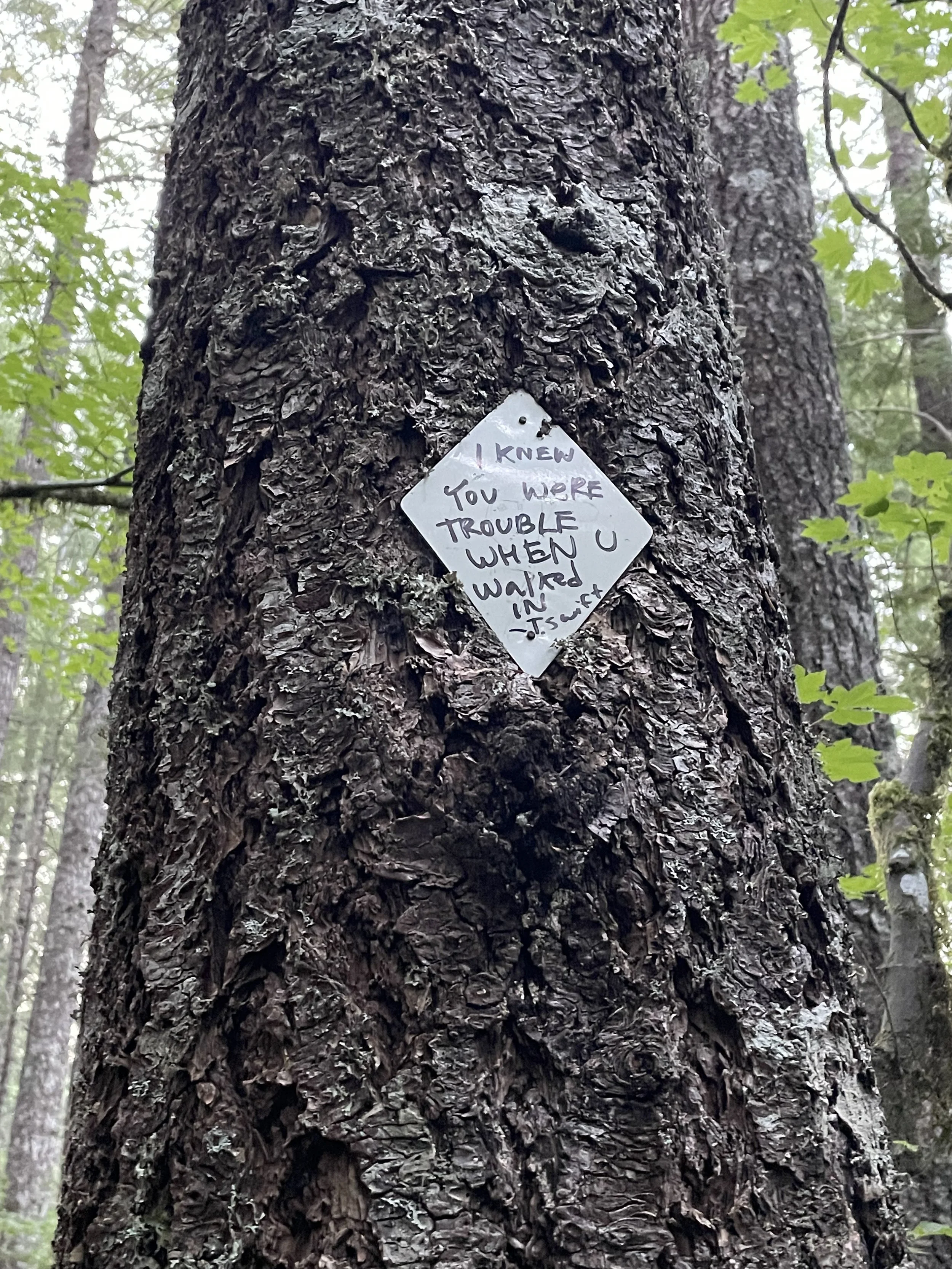 Some Taylor Swift to start the day