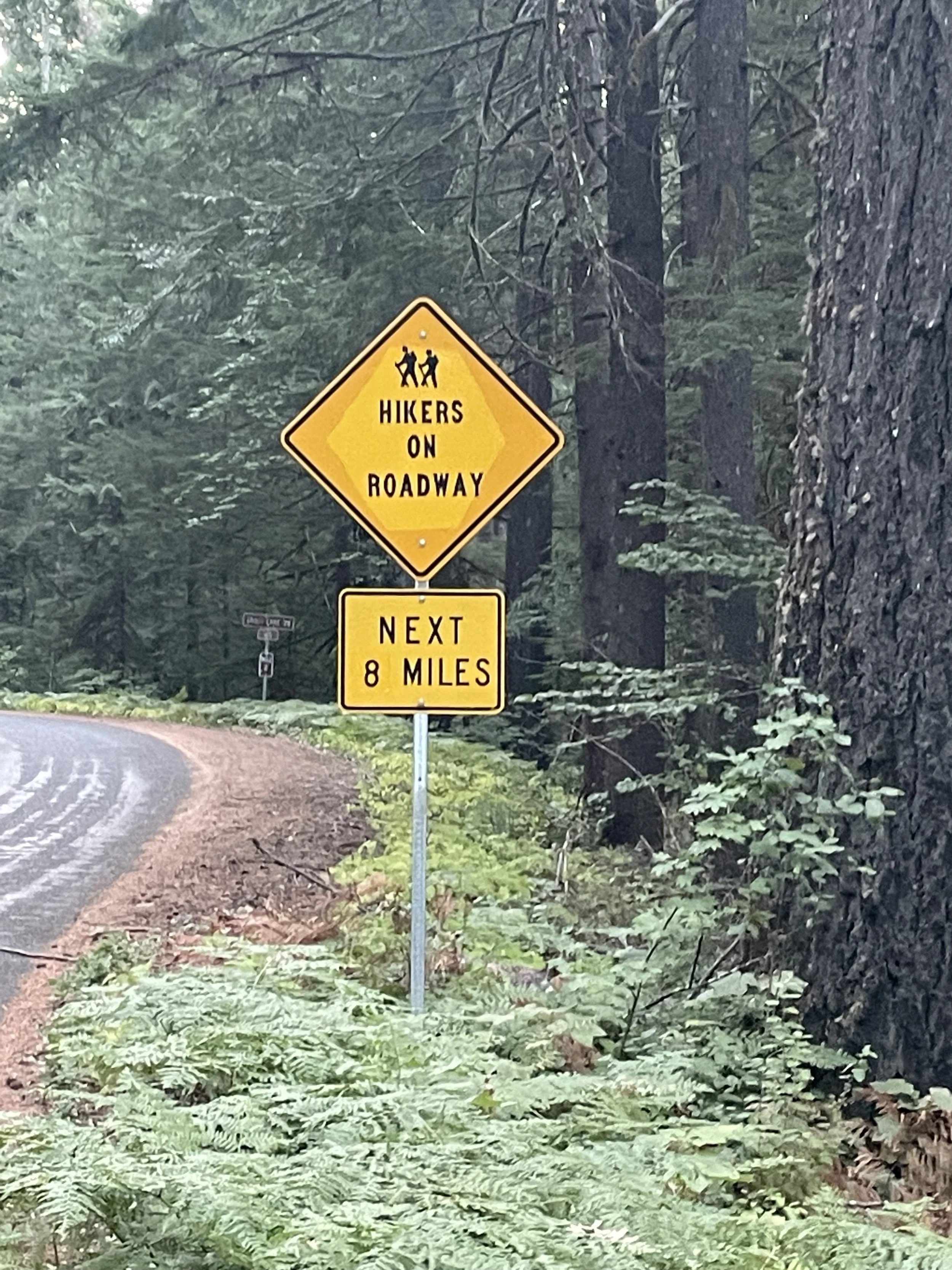 Beginning our road walk for the morning