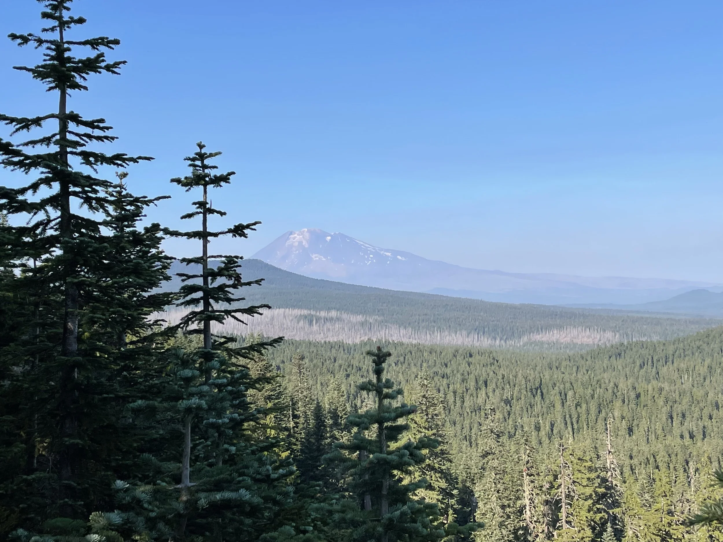 Mt. Adams getting closer