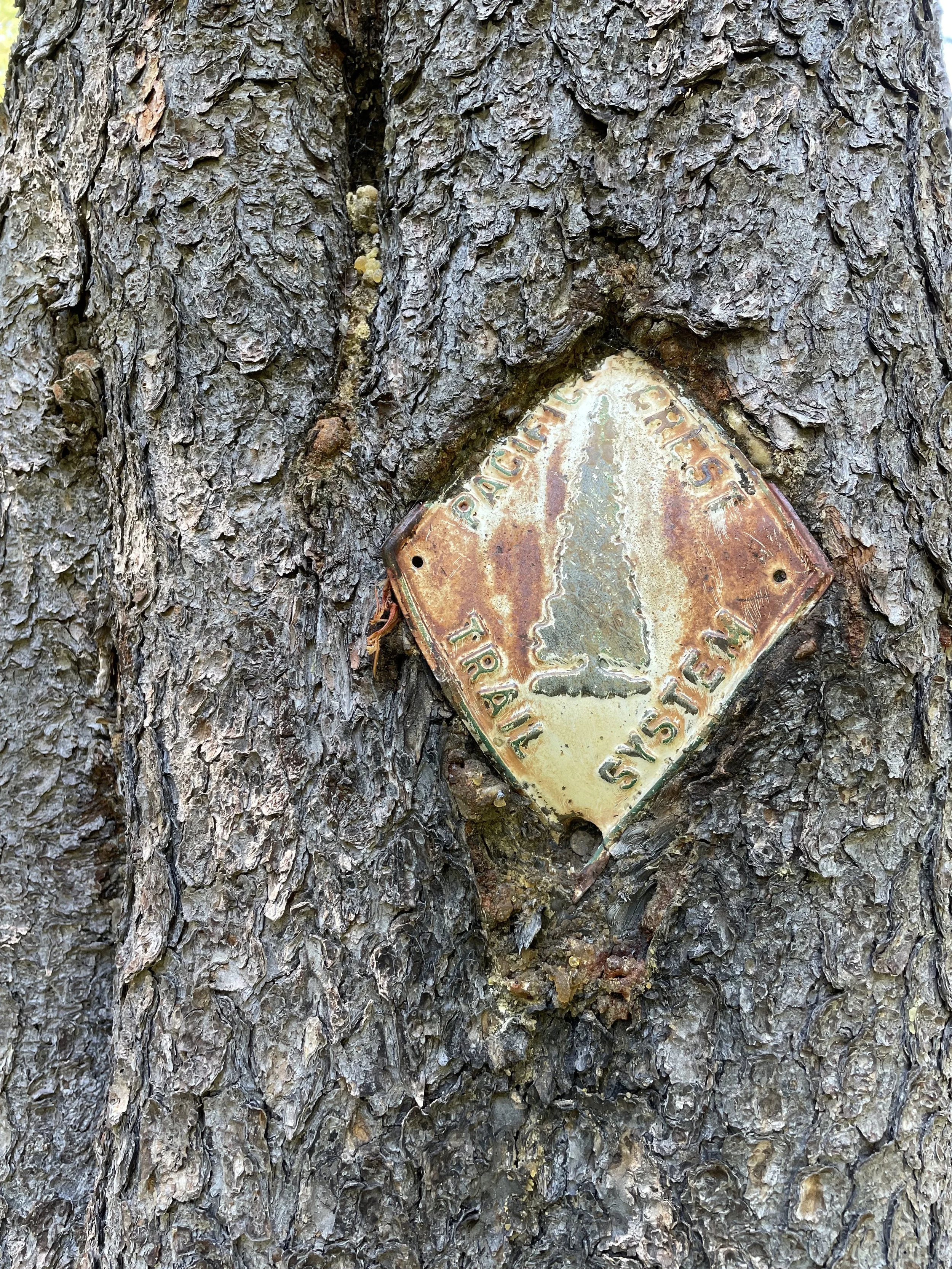 A very old trail emblem