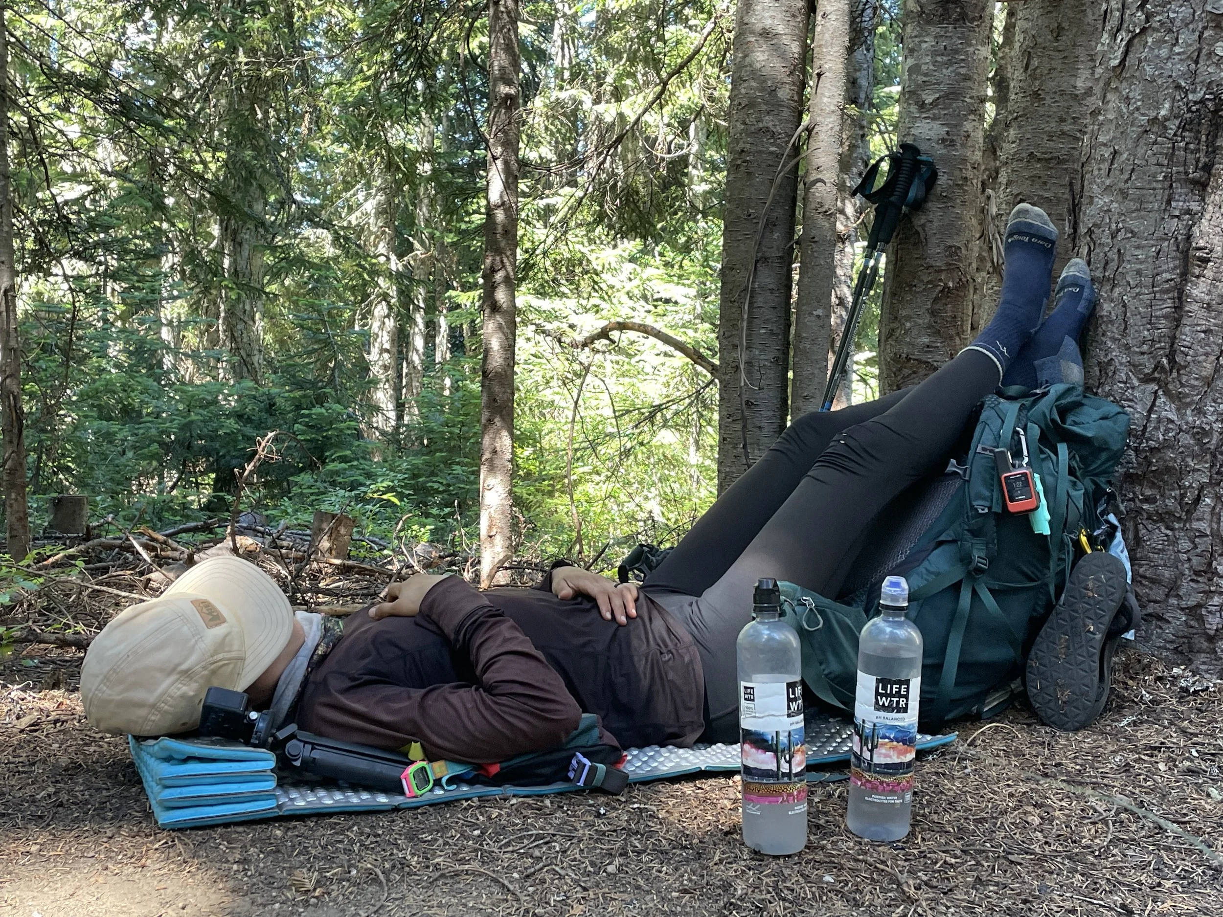 Nap for the day: complete