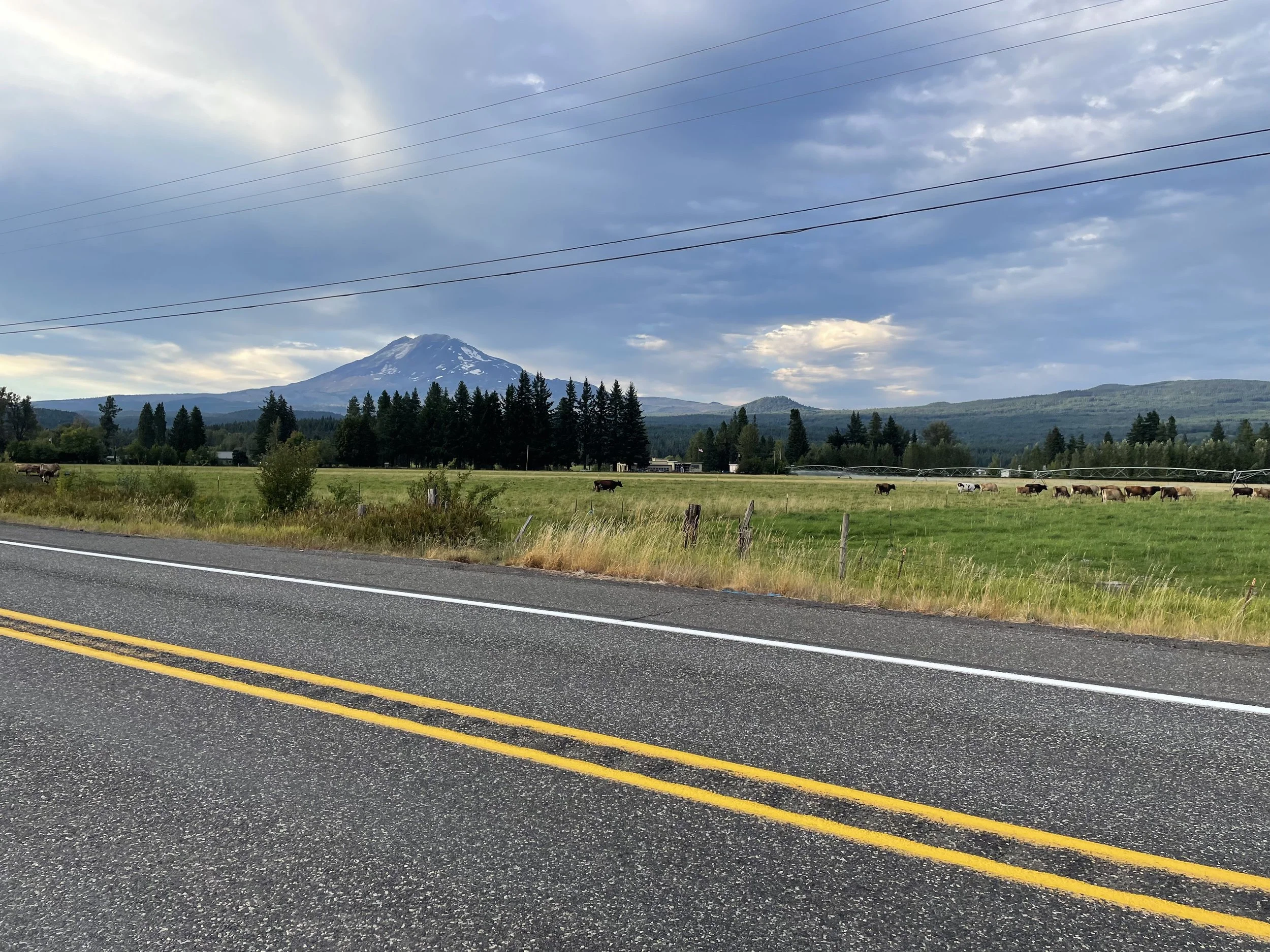 The south face of Mt. Adams from Trout Lake, WA