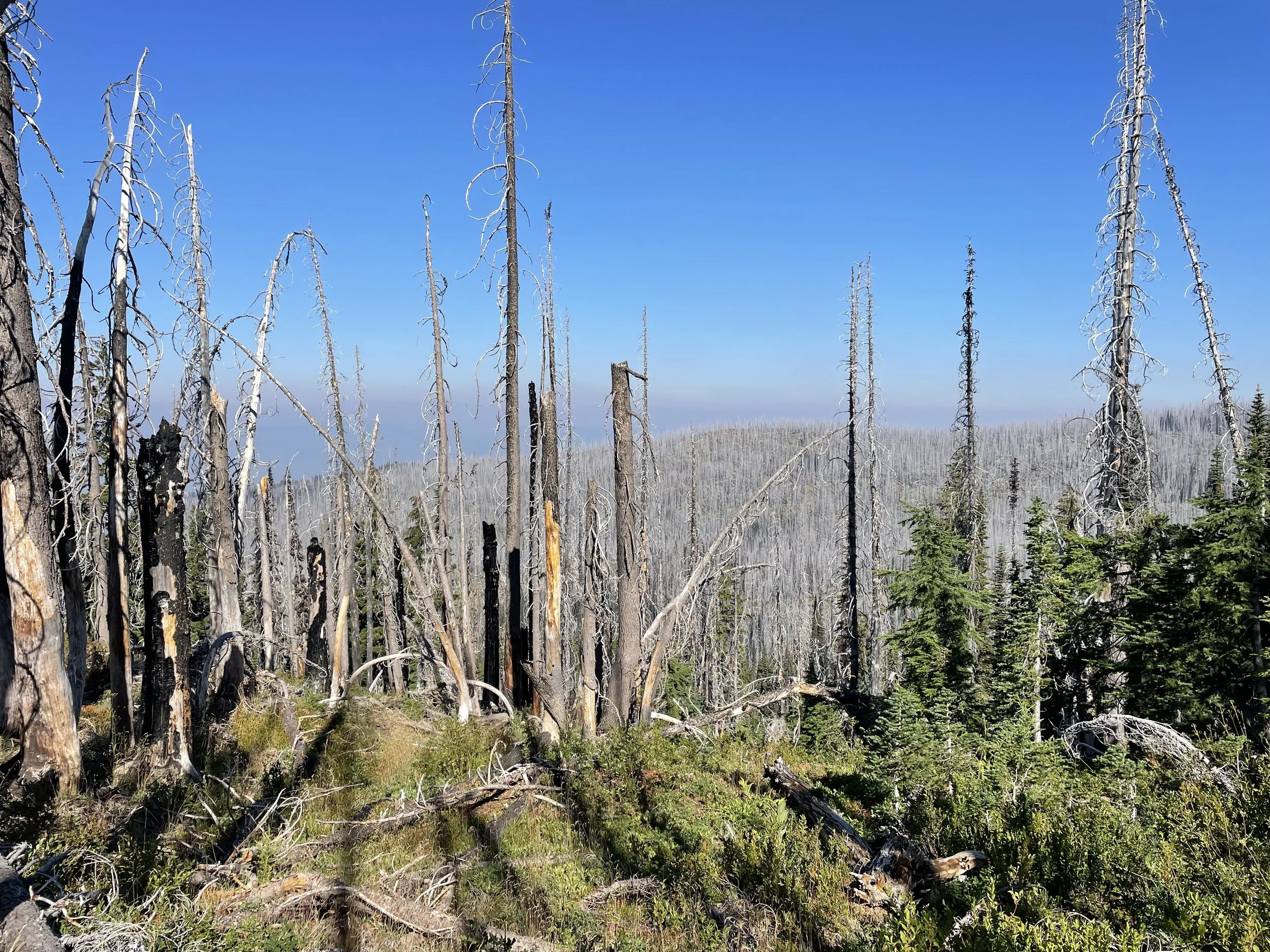 Wildfire smoke obscuring the views