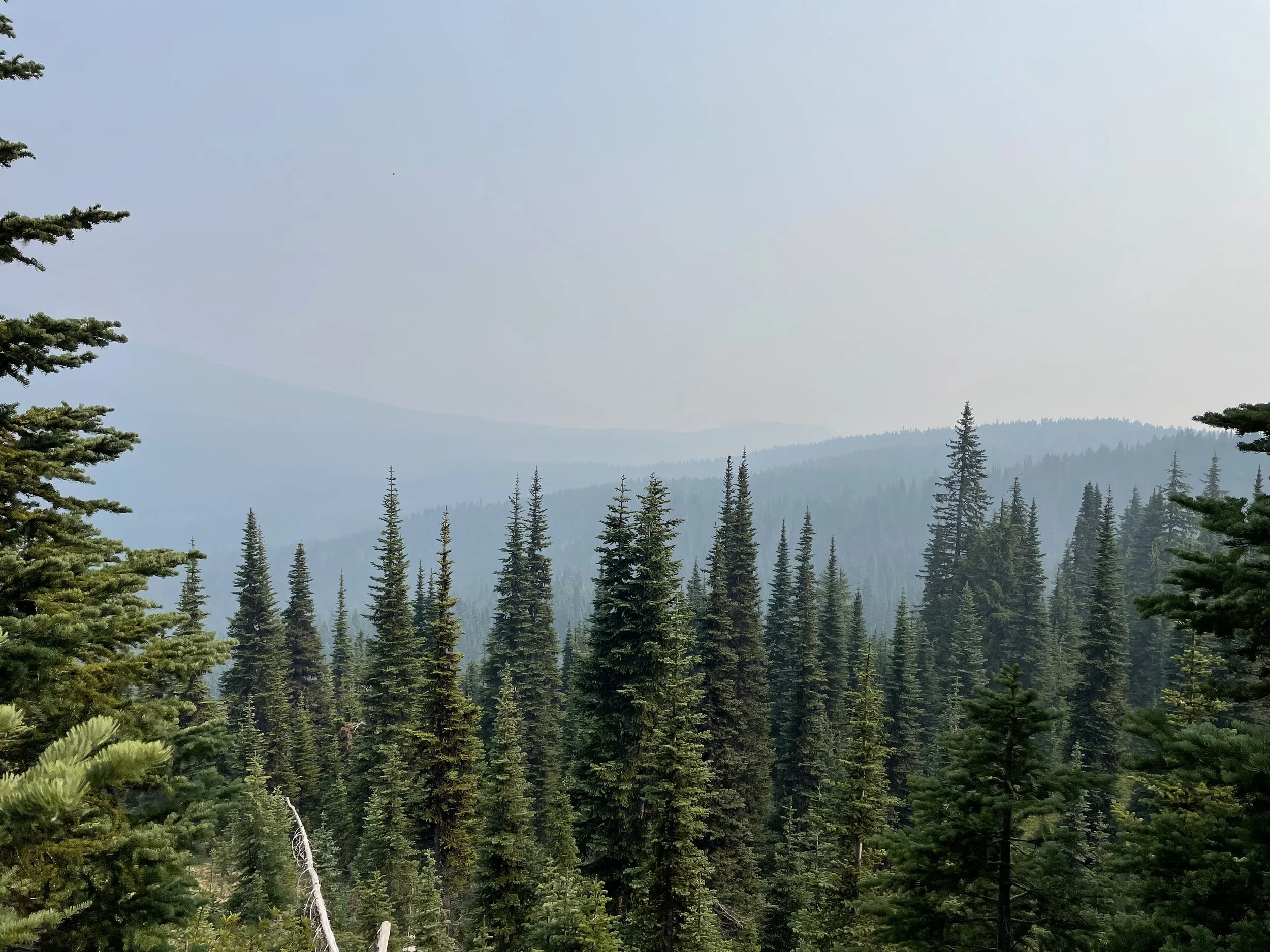 Smoke permeating the area