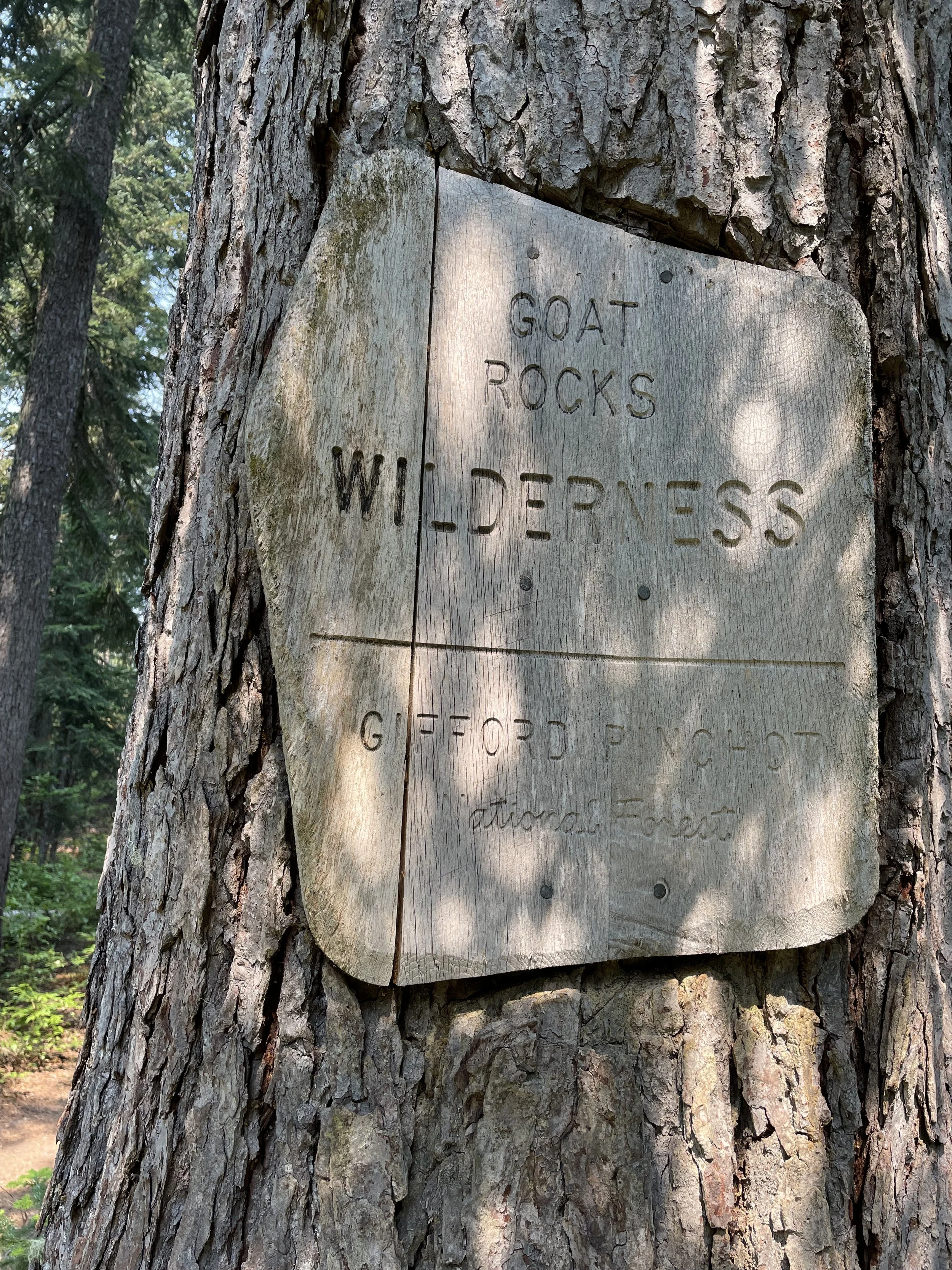 Entering Goat Rocks Wilderness