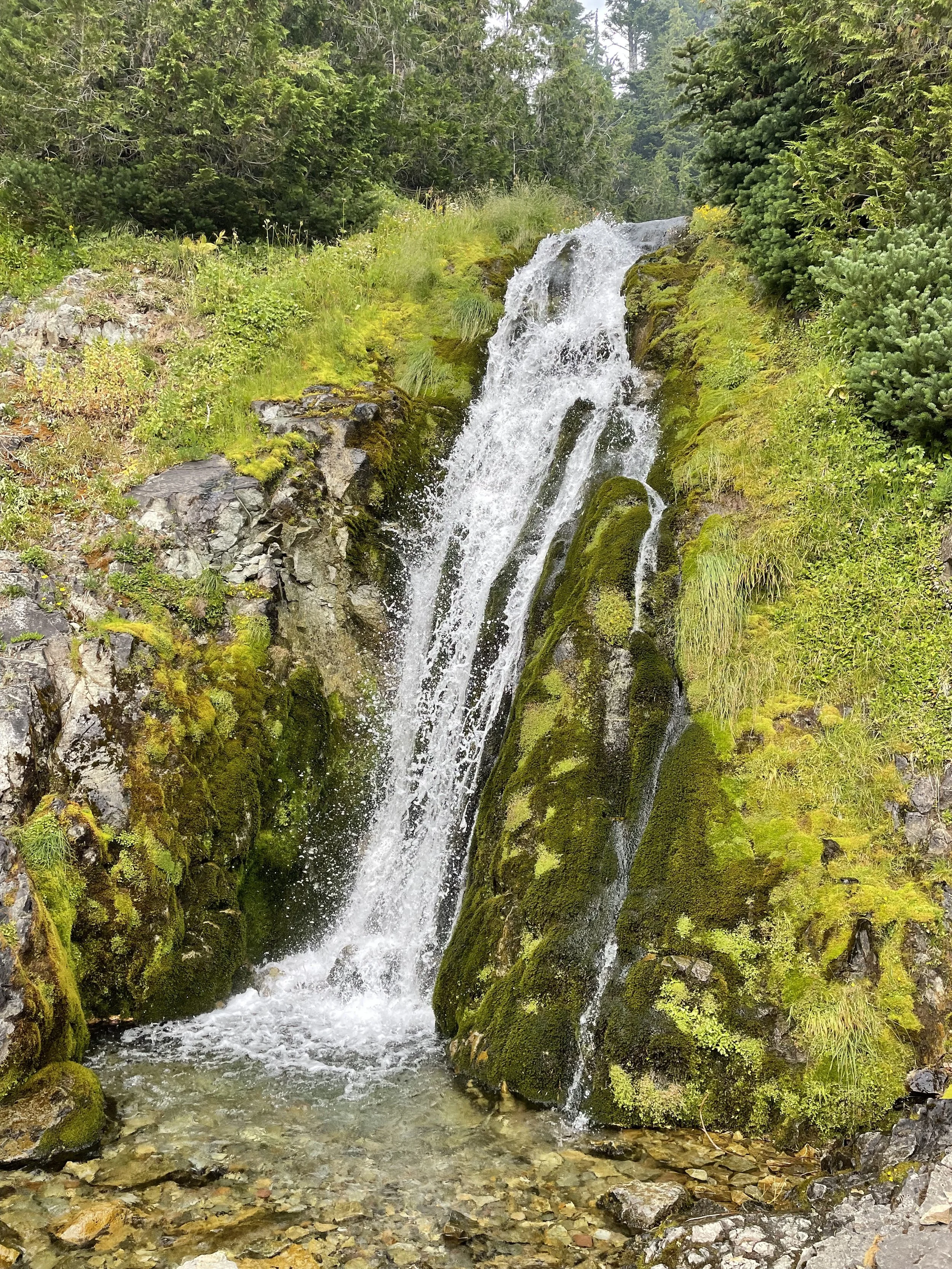 Waterfall on the Cispus River
