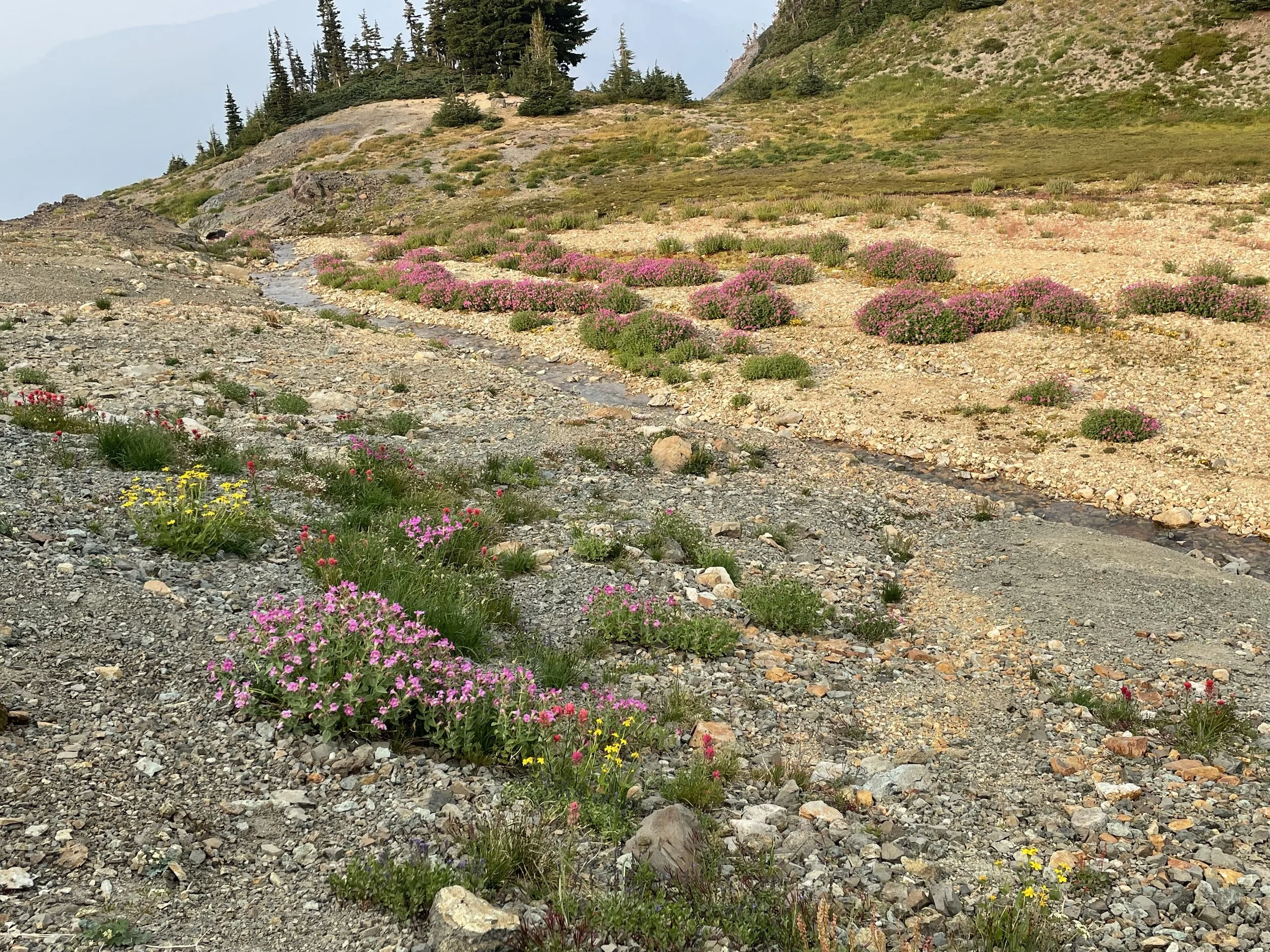 Walking into what felt like a garden