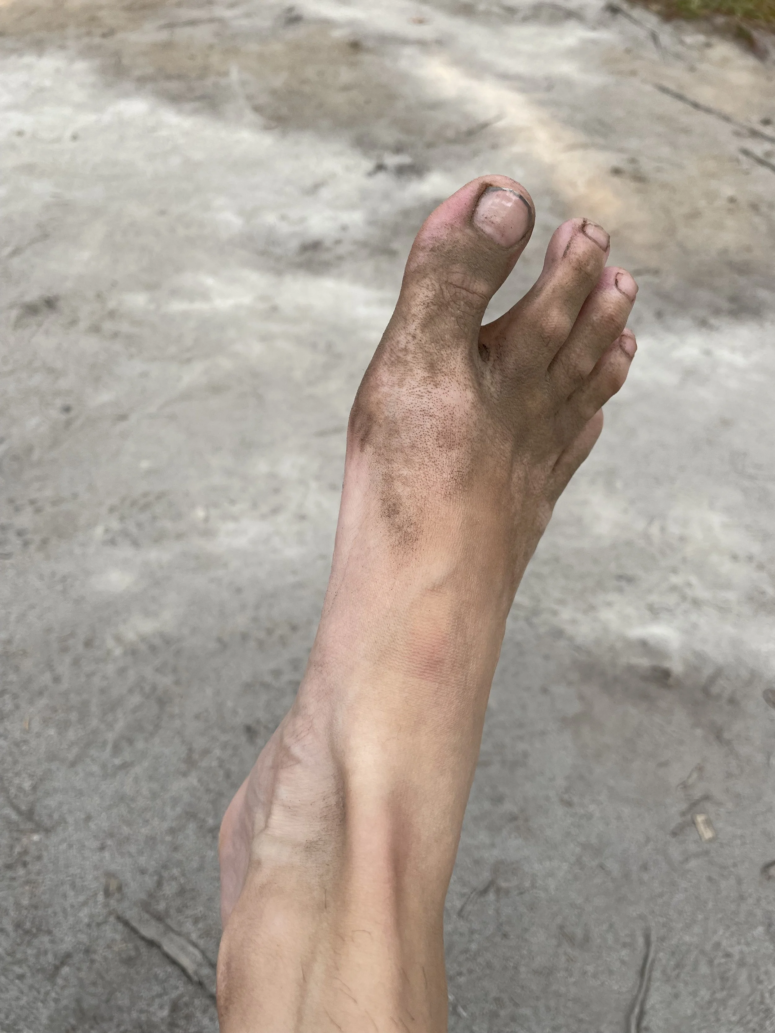 The cost of an incredible day