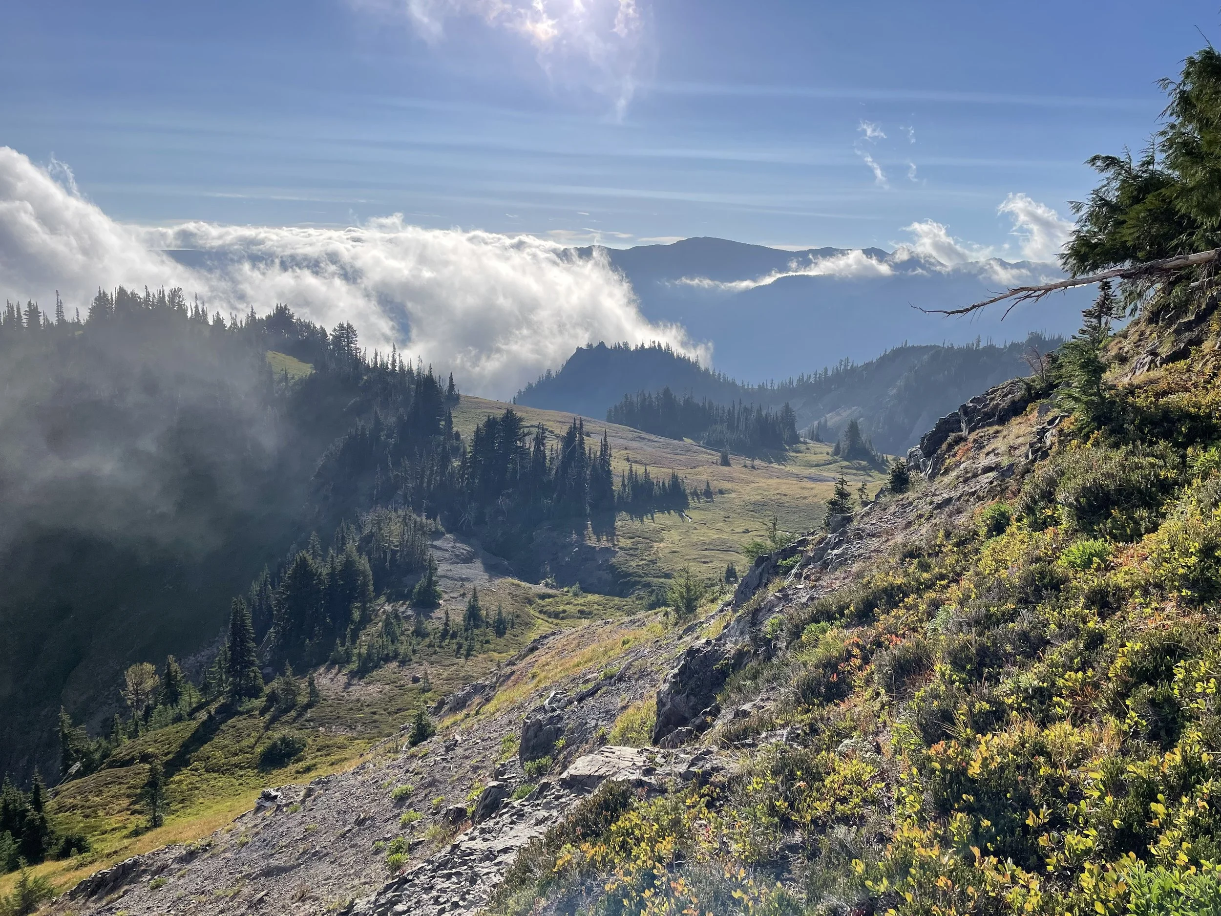 Getting more and more clear