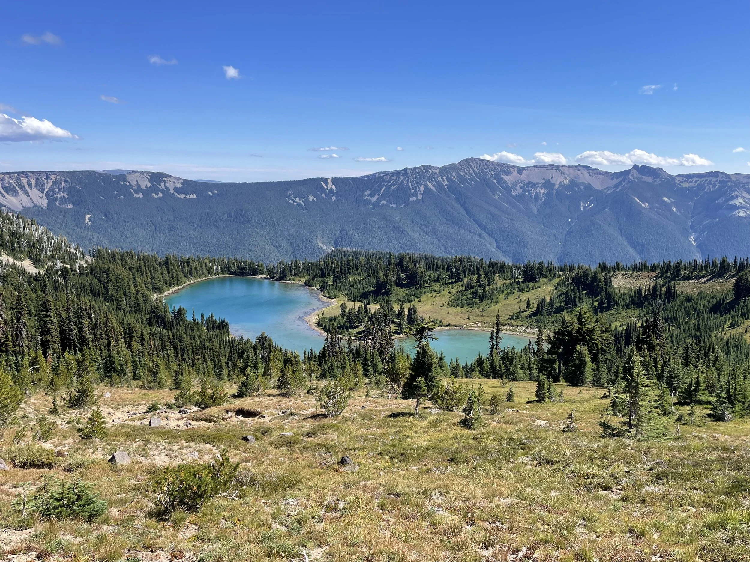 Shoe Lake from above