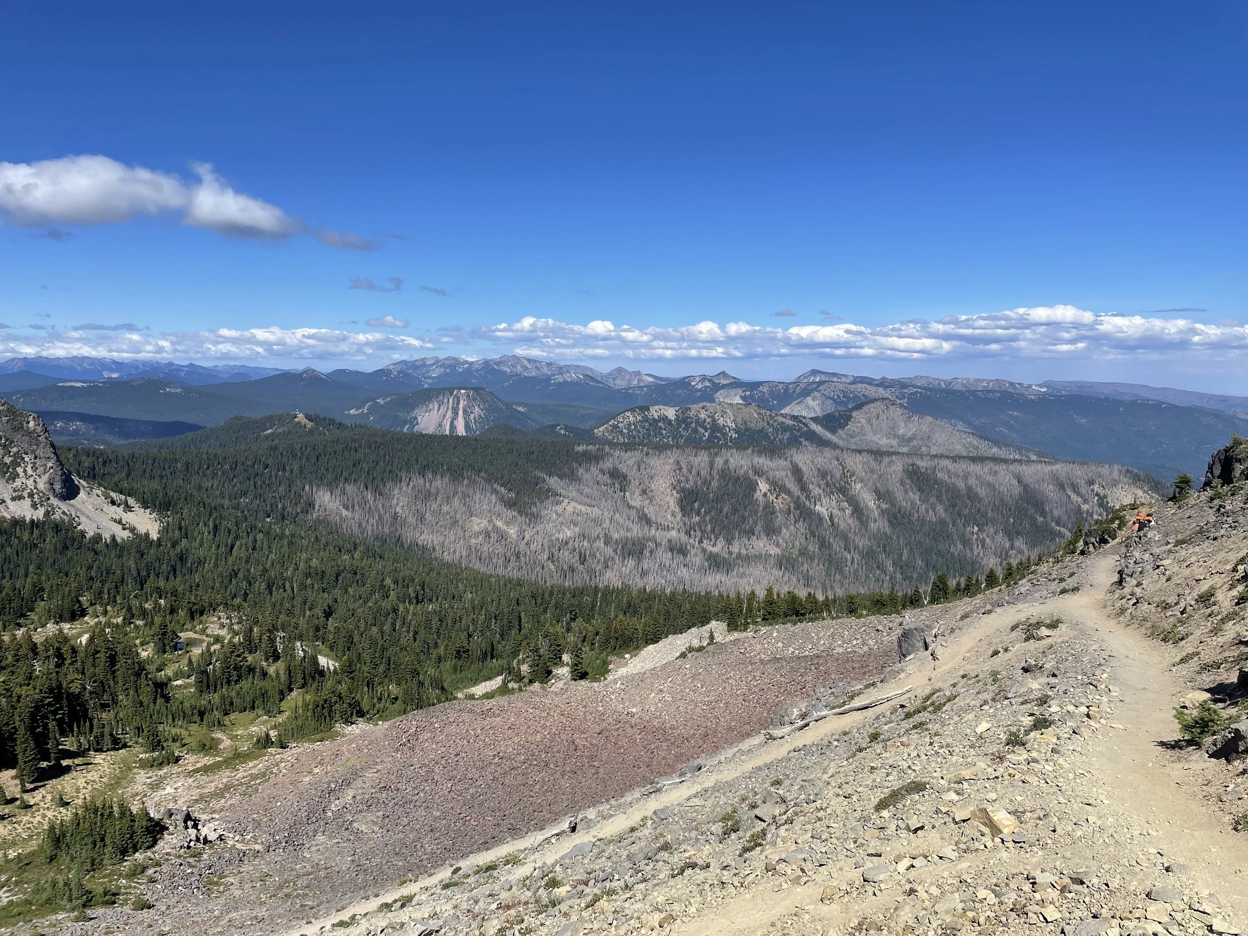 Our most expansive view in Washington yet!