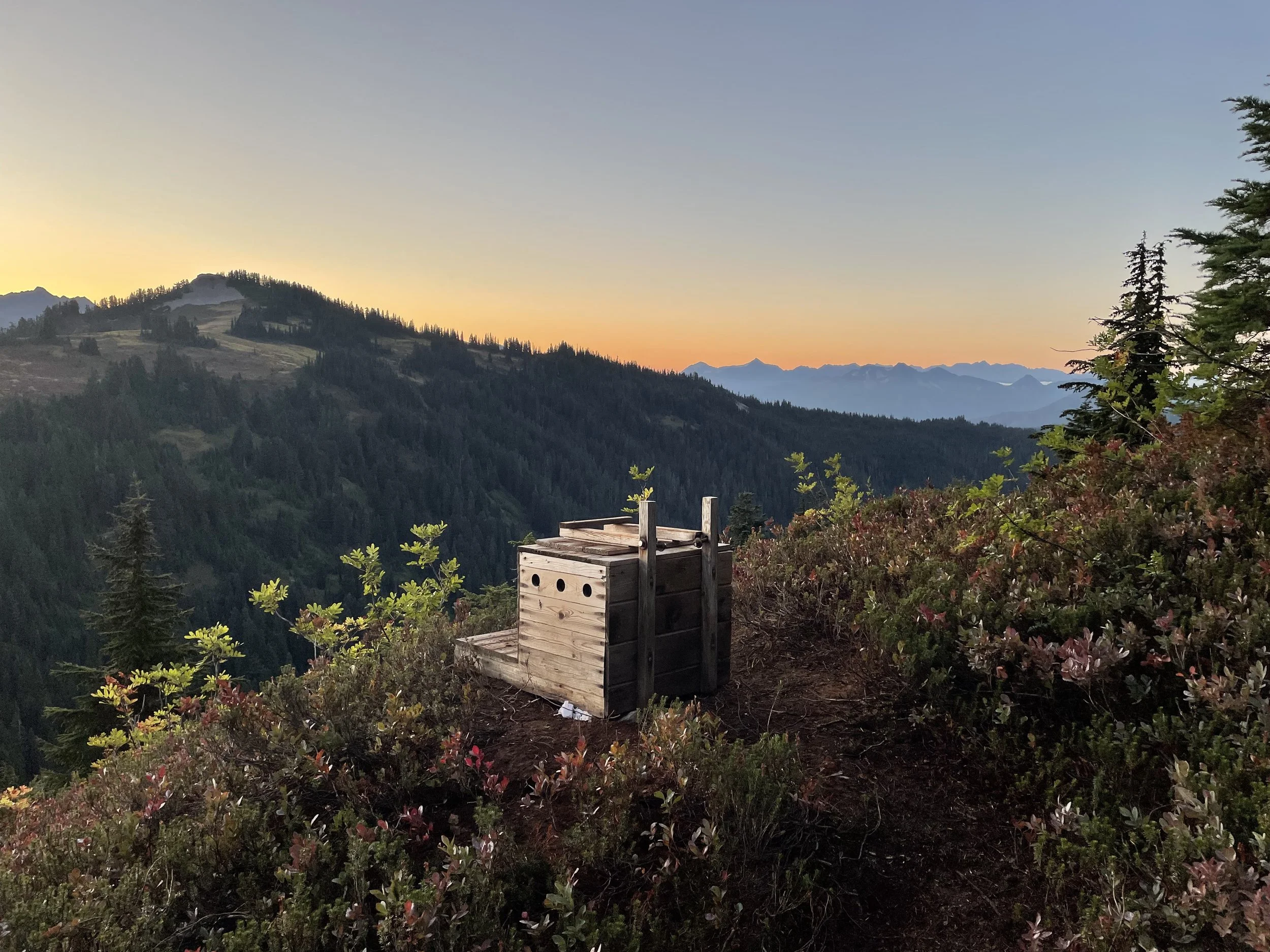 Pit toilet with the most epic view